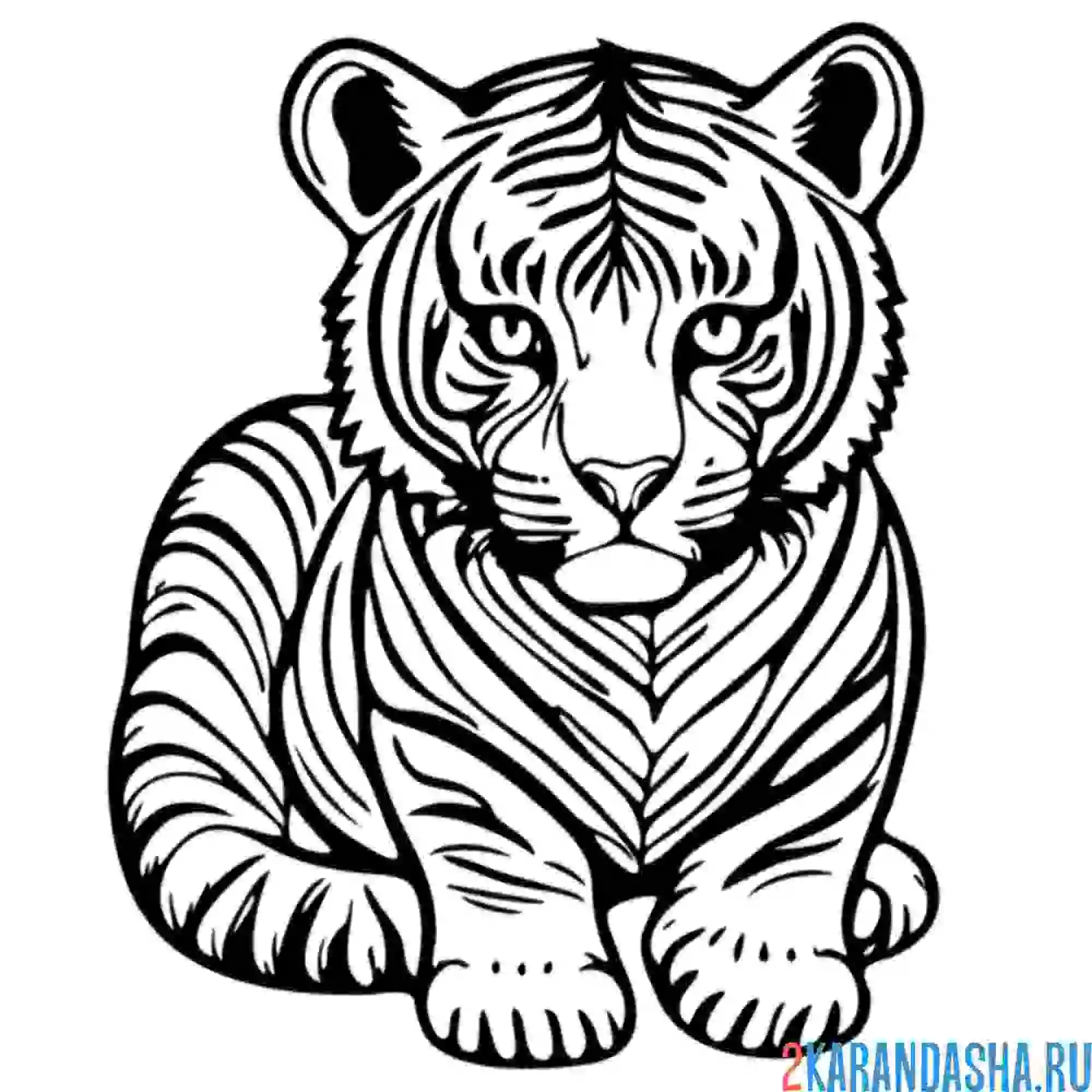 Раскраска серьезный тигр