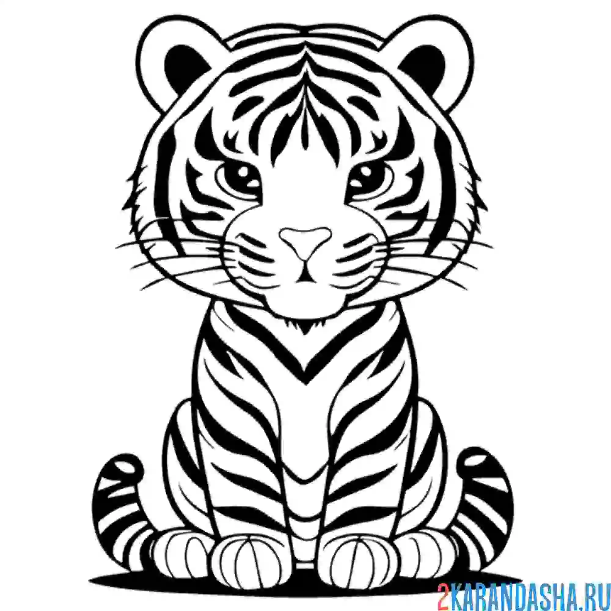 Раскраска тигр смотрит прямо
