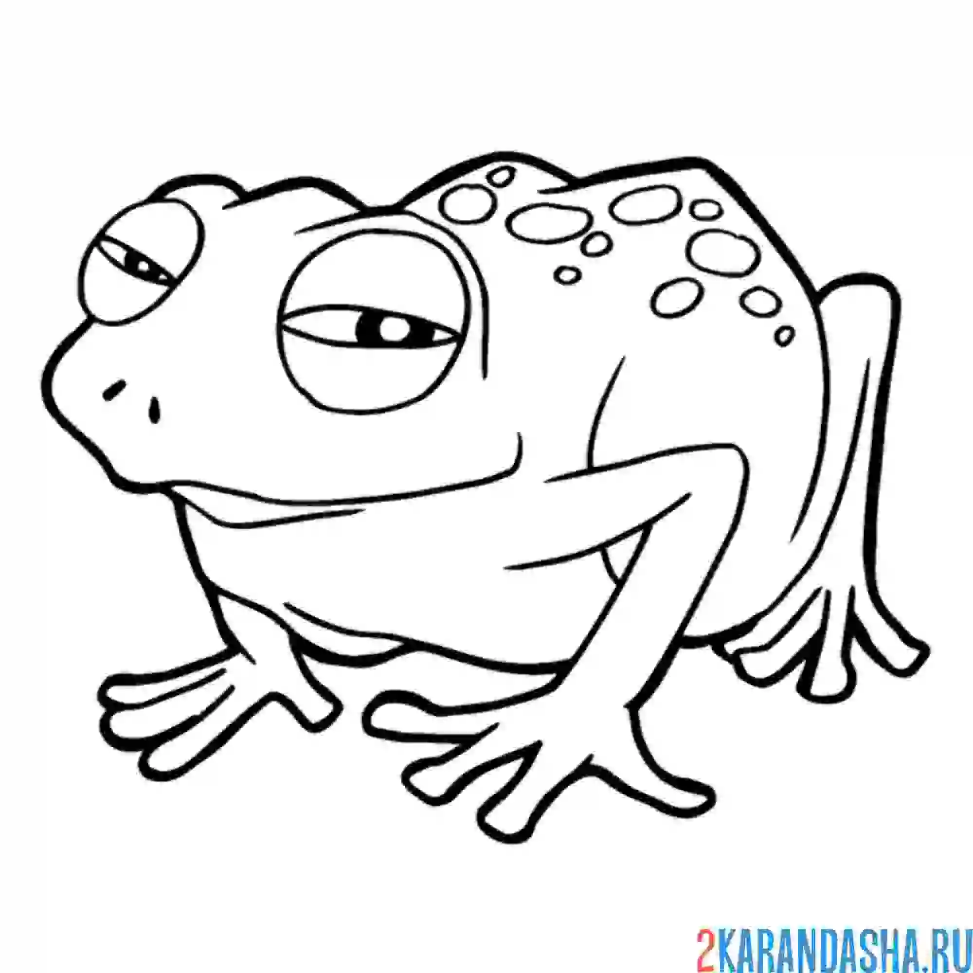 Раскраска жмурится лягушка