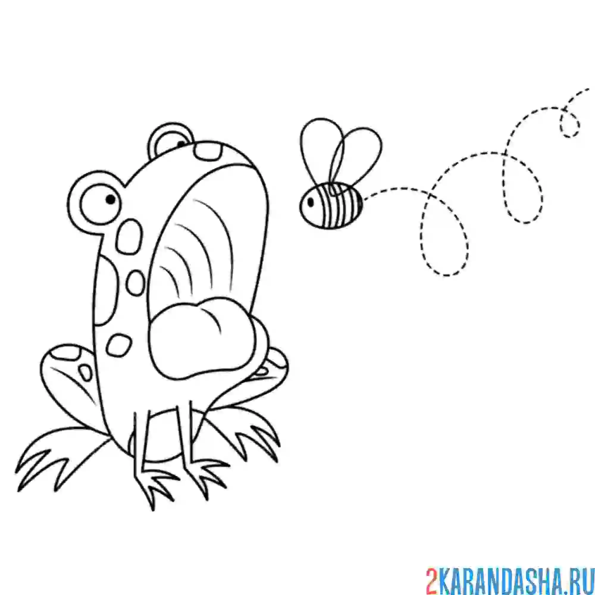 Раскраска ква лягушка