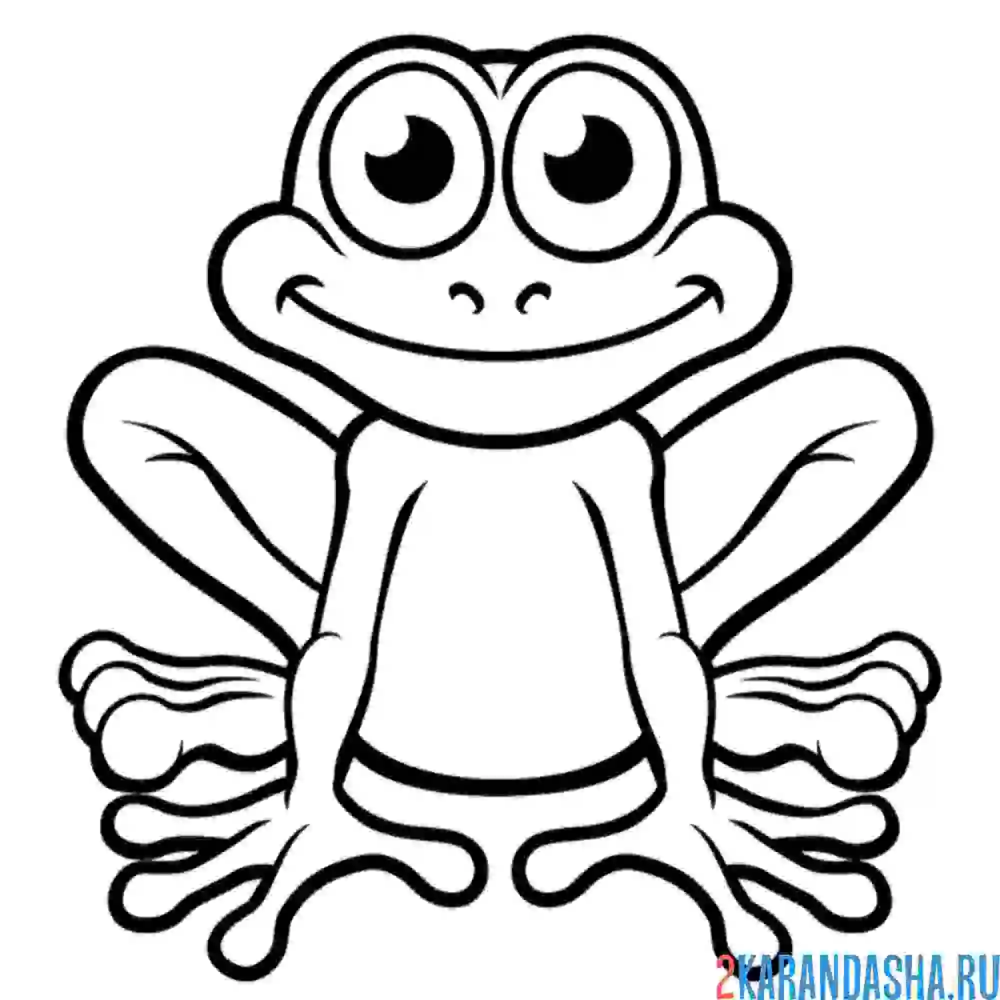 Раскраска лягушка смотрит прямо