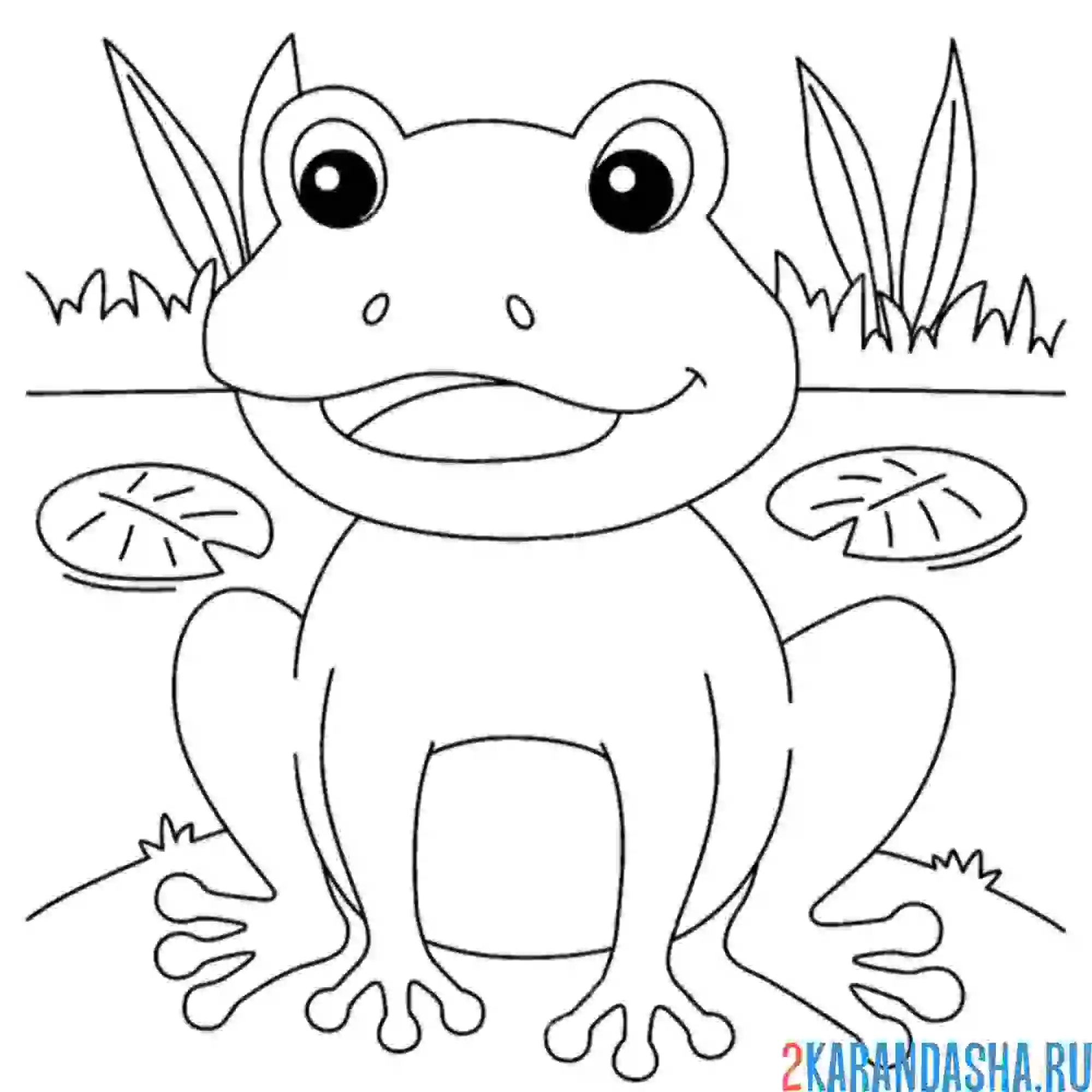 Раскраска лягушка квакает в пруду