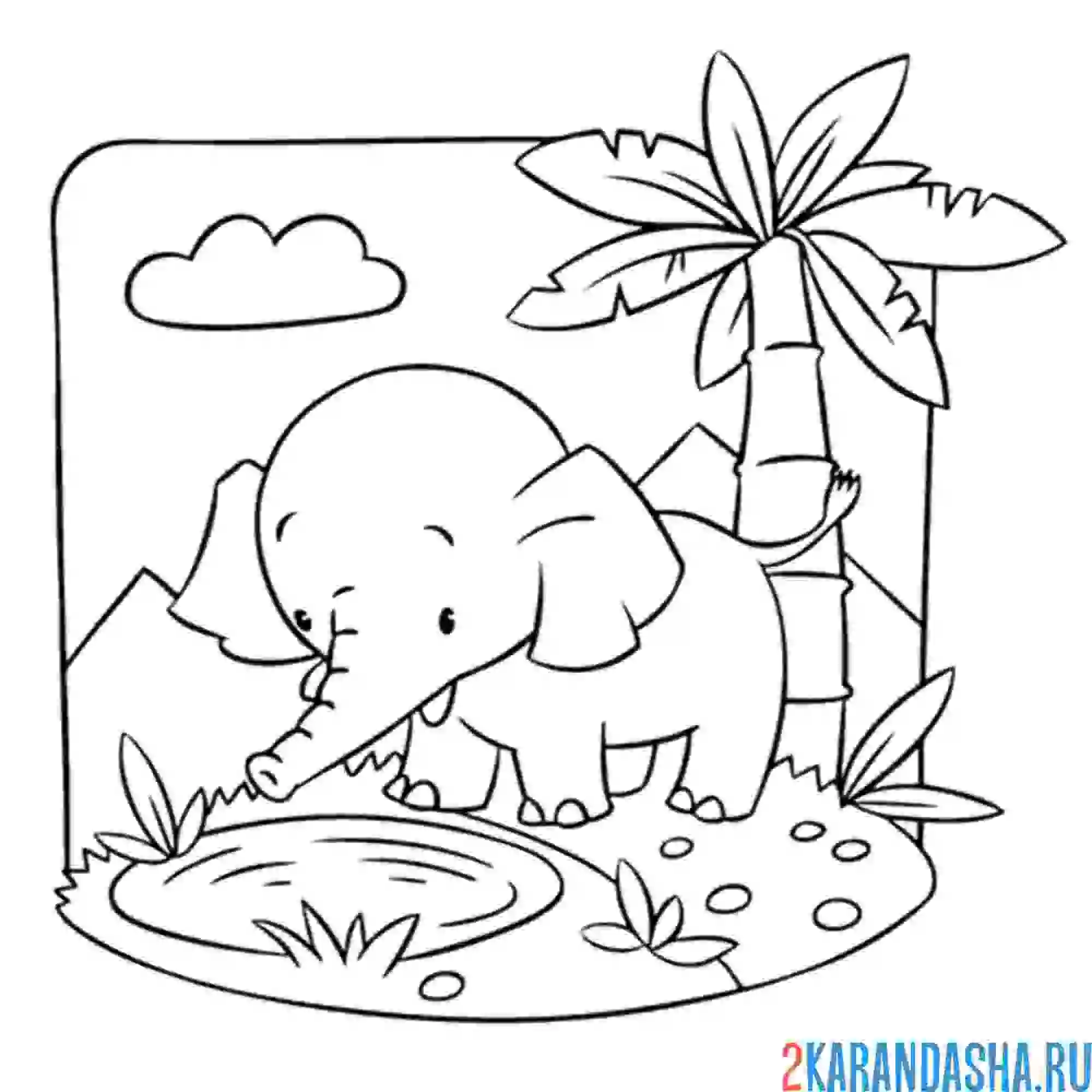 Раскраска слон в африке