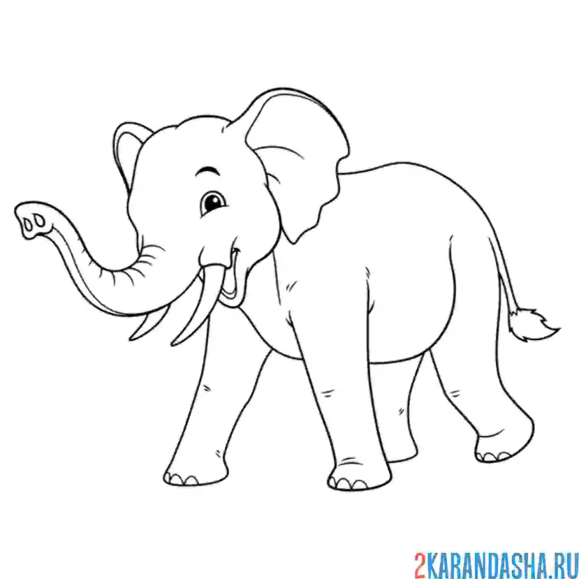 Раскраска слон взрослый бежит