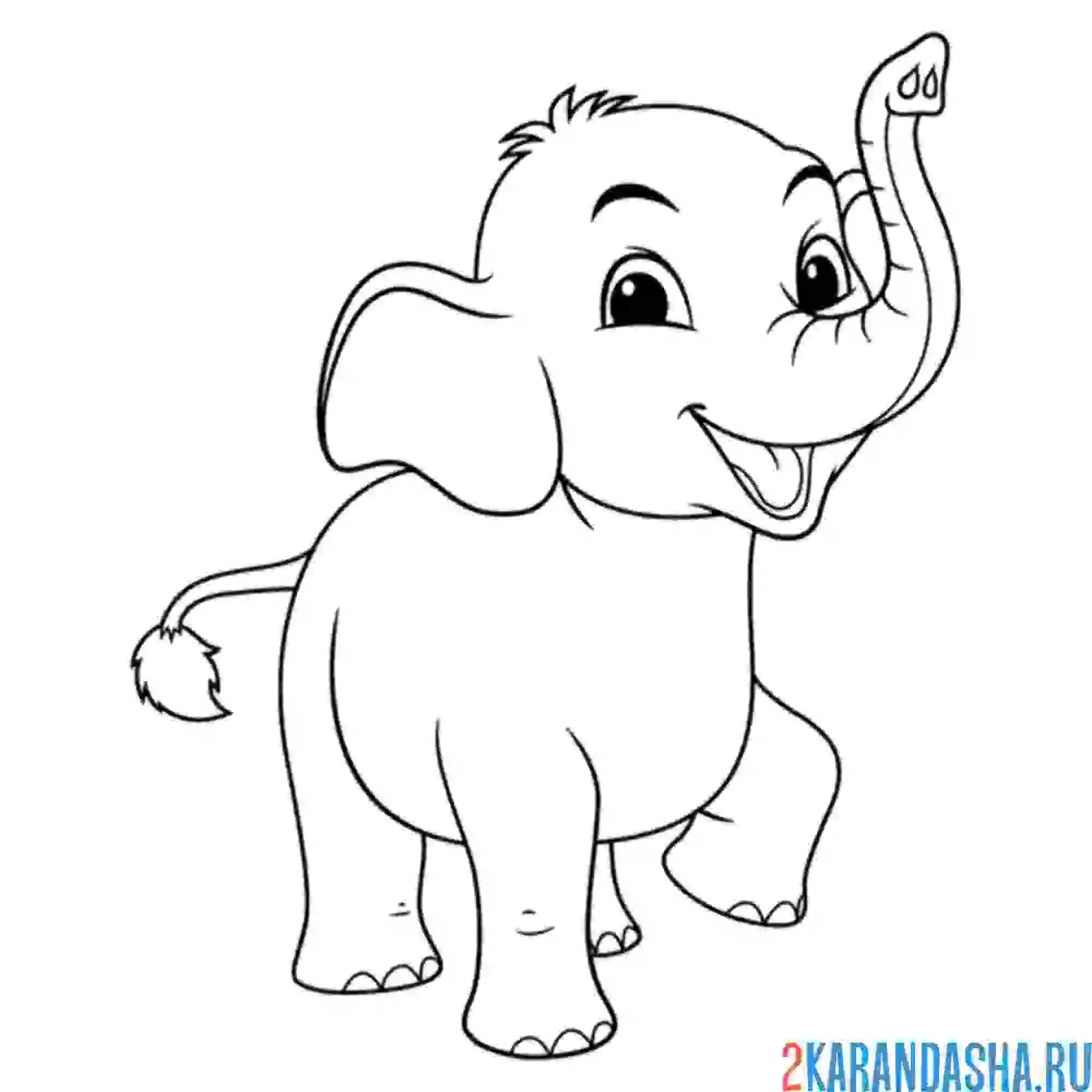 Раскраска молодой слоненок