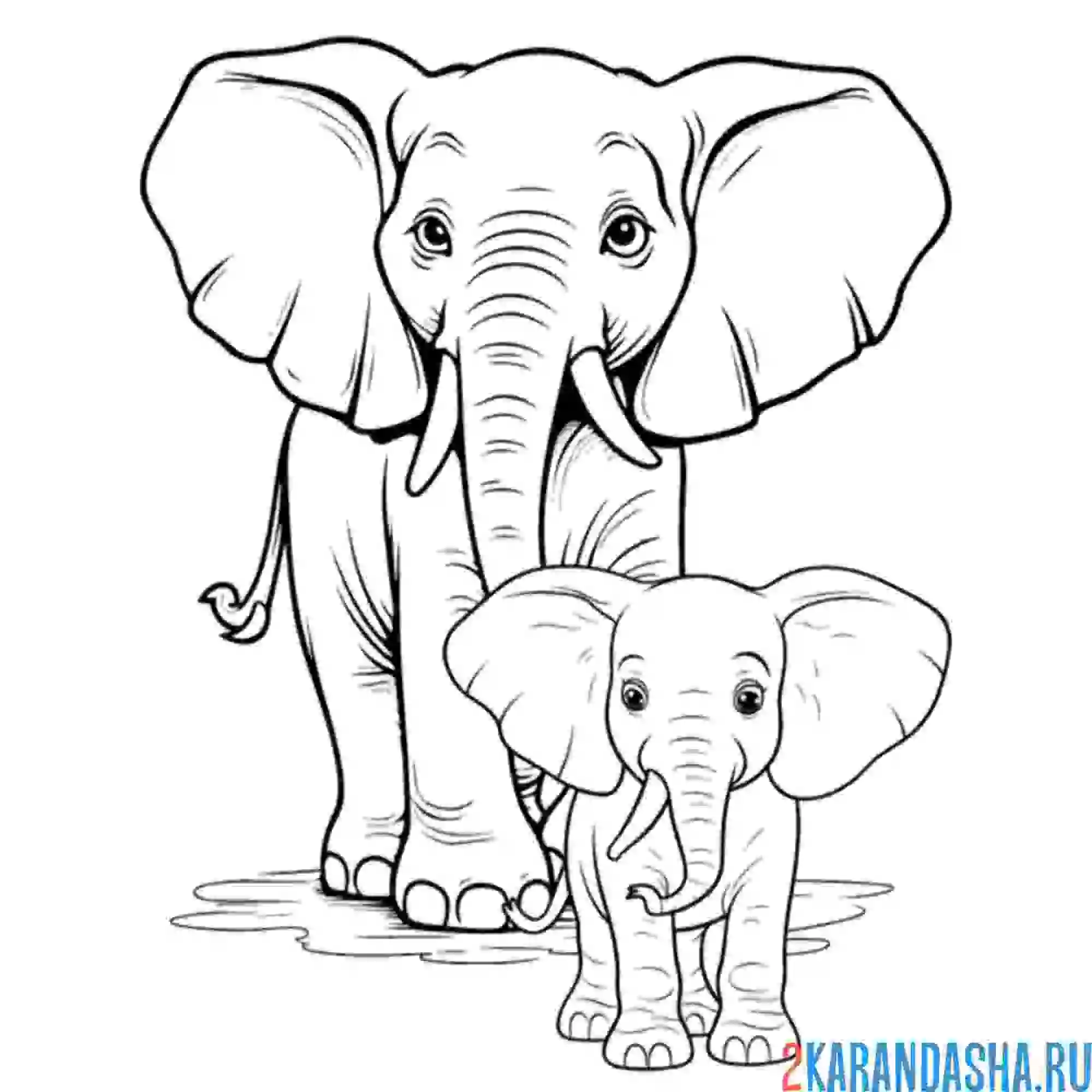 Раскраска мама слон и ее слоненок