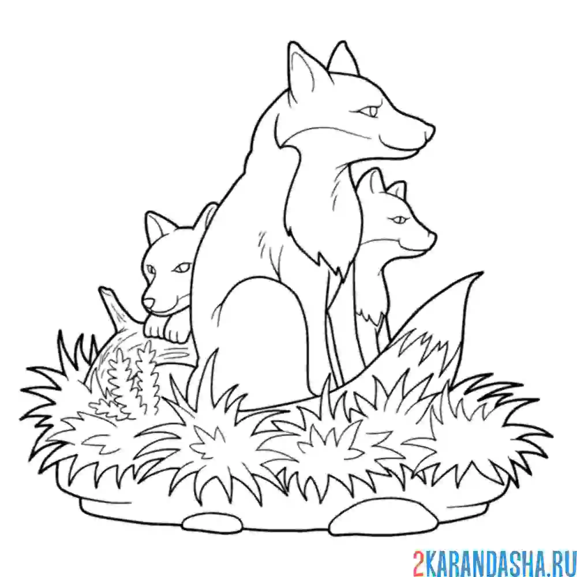 Раскраска лиса и два лисенка