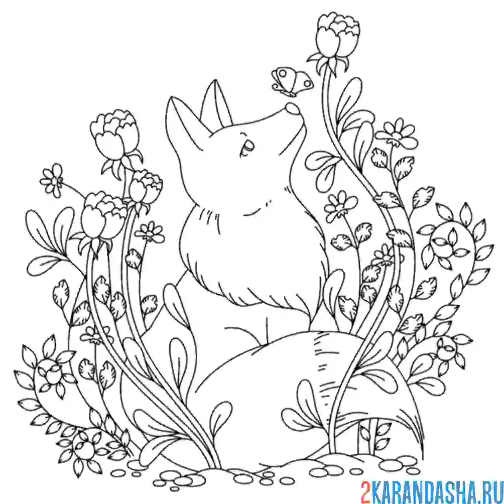 Раскраска лиса весной