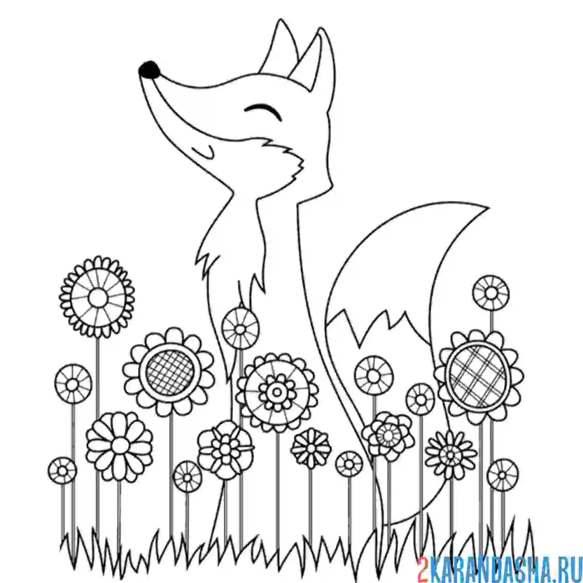 Раскраска лиса наслаждение