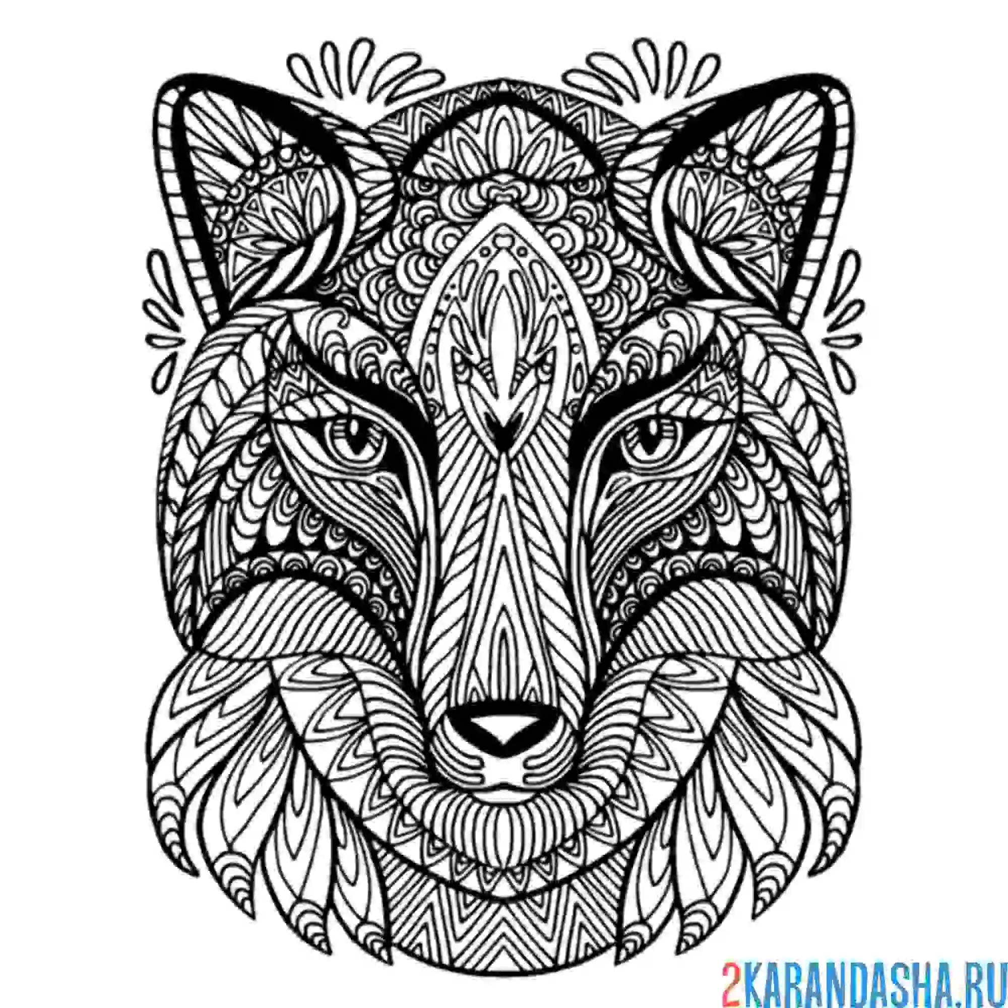 Раскраска лиса голова антистресс