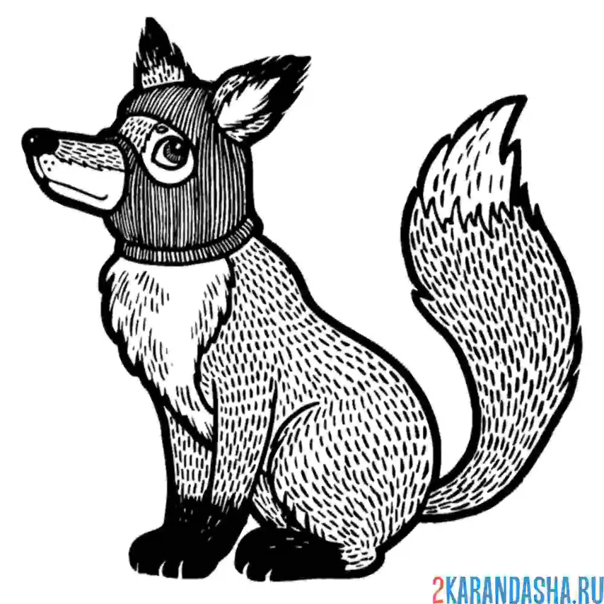 Раскраска вор лиса