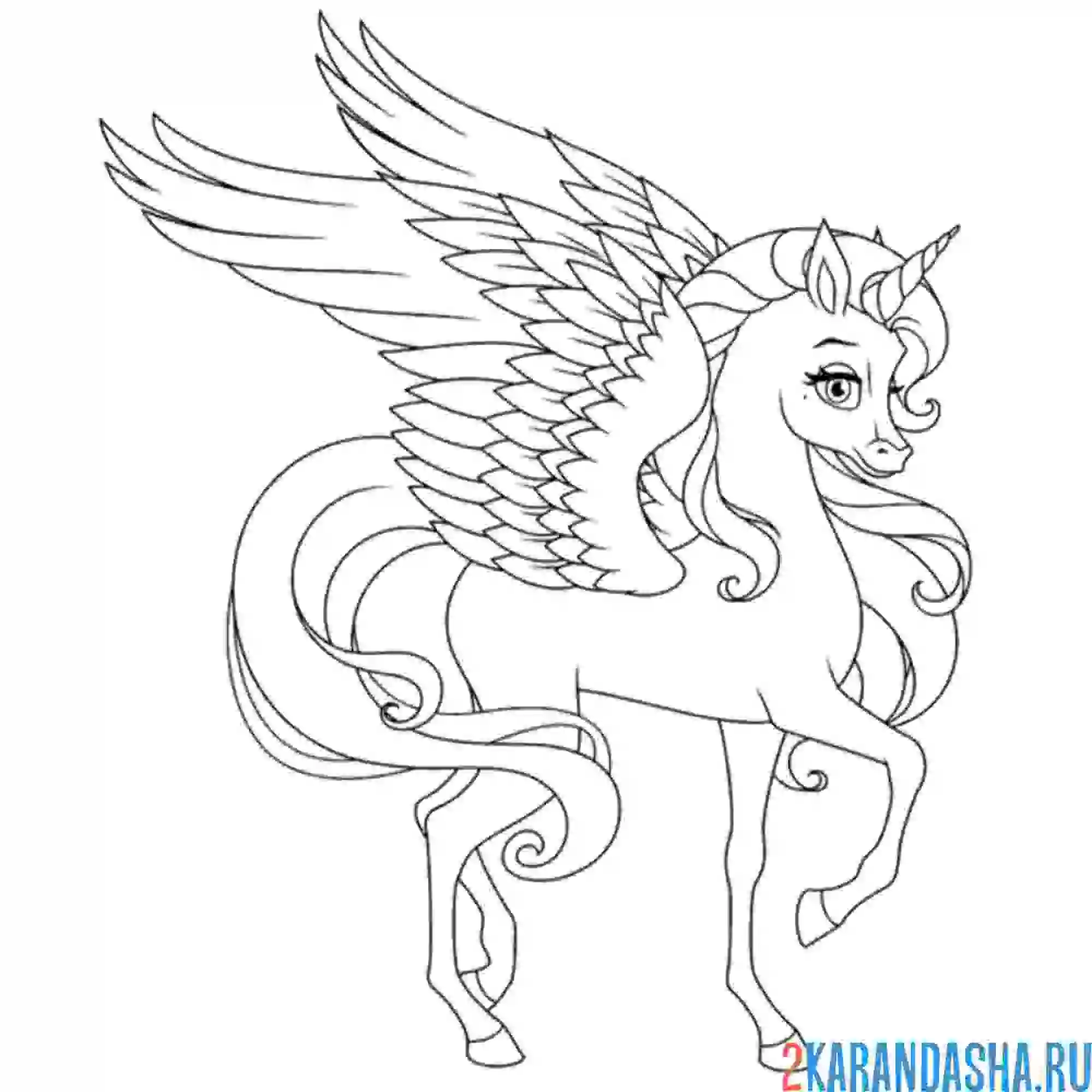 Раскраска единорог стройный с крыльями