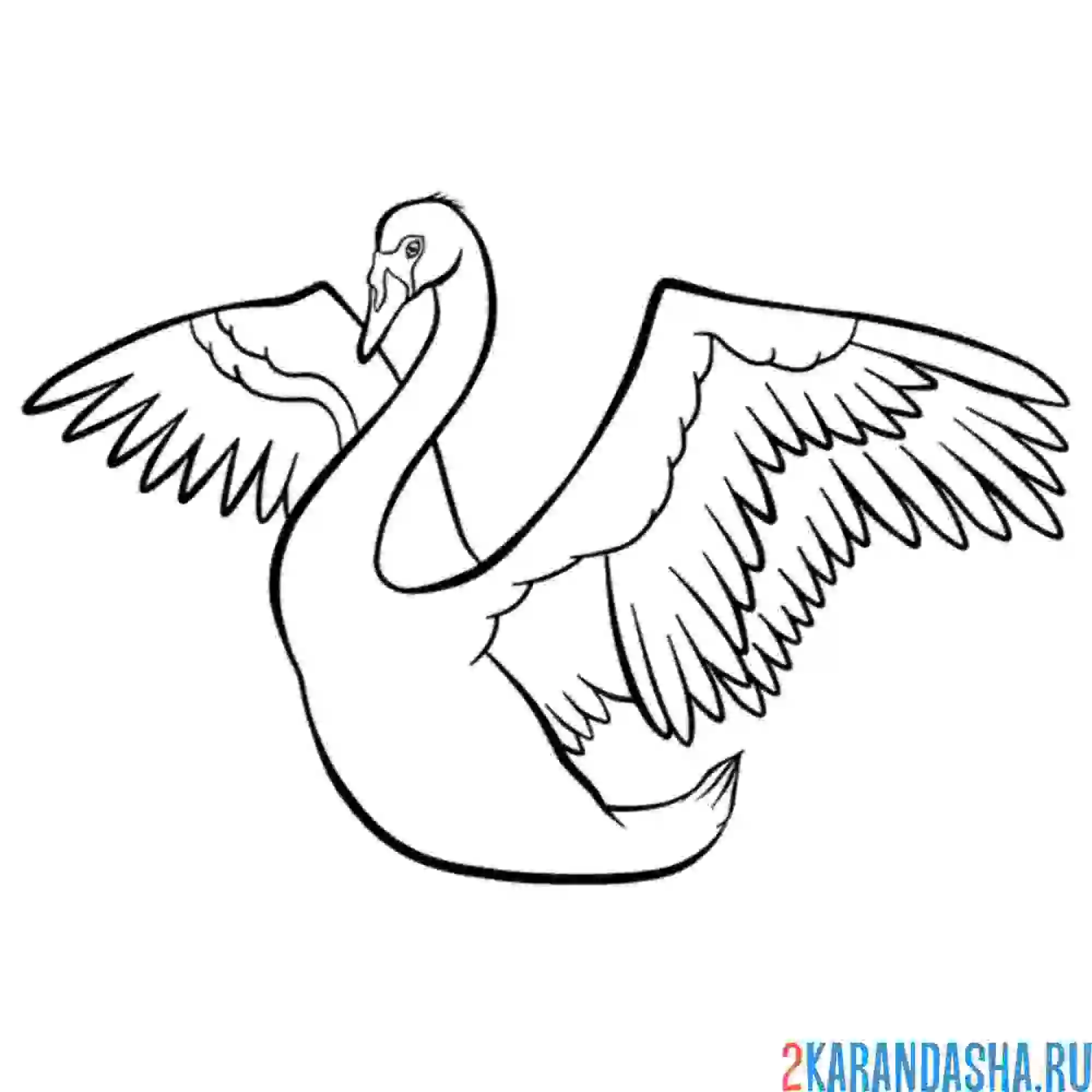 Раскраска лебедь крылья