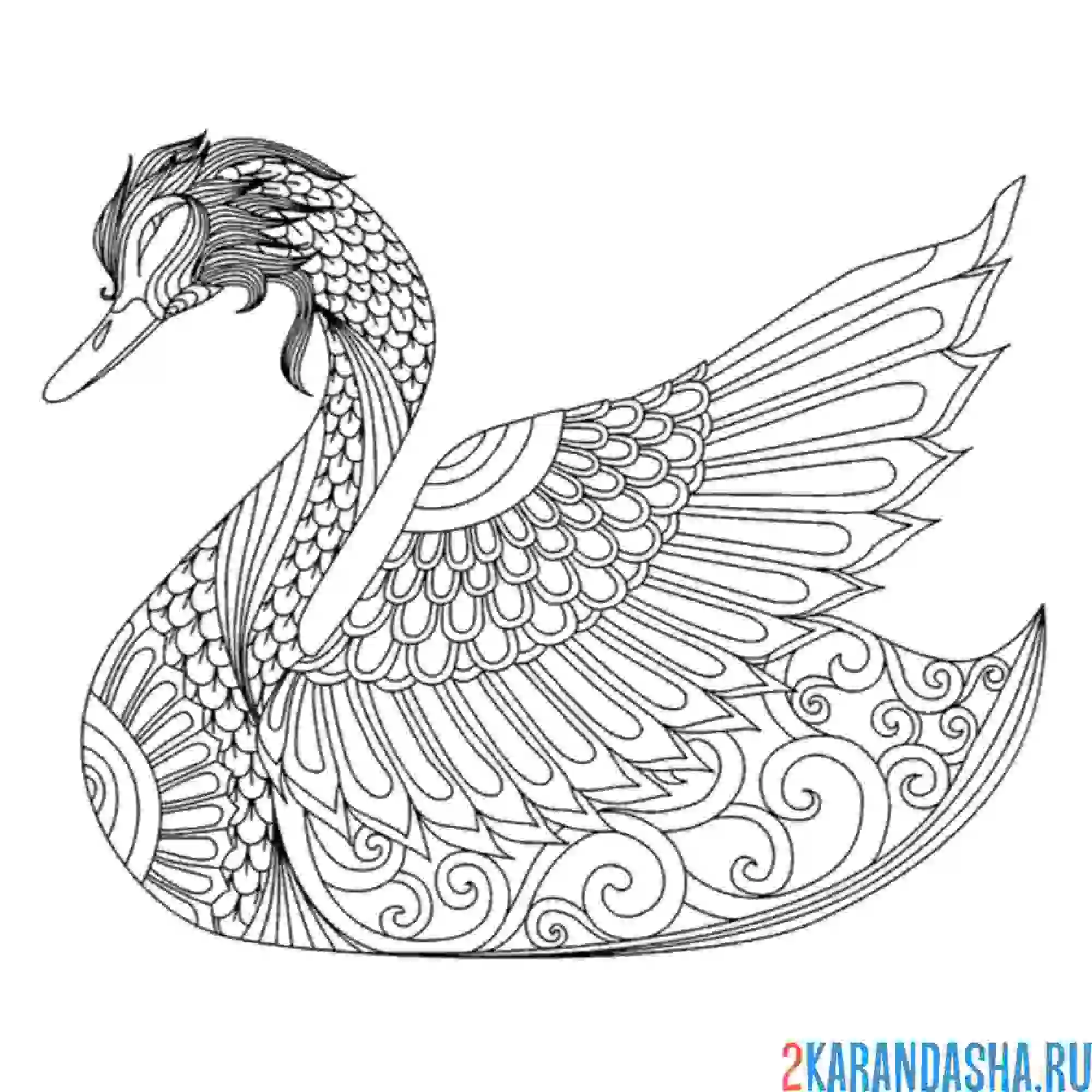 Раскраска лебедь-антистресс