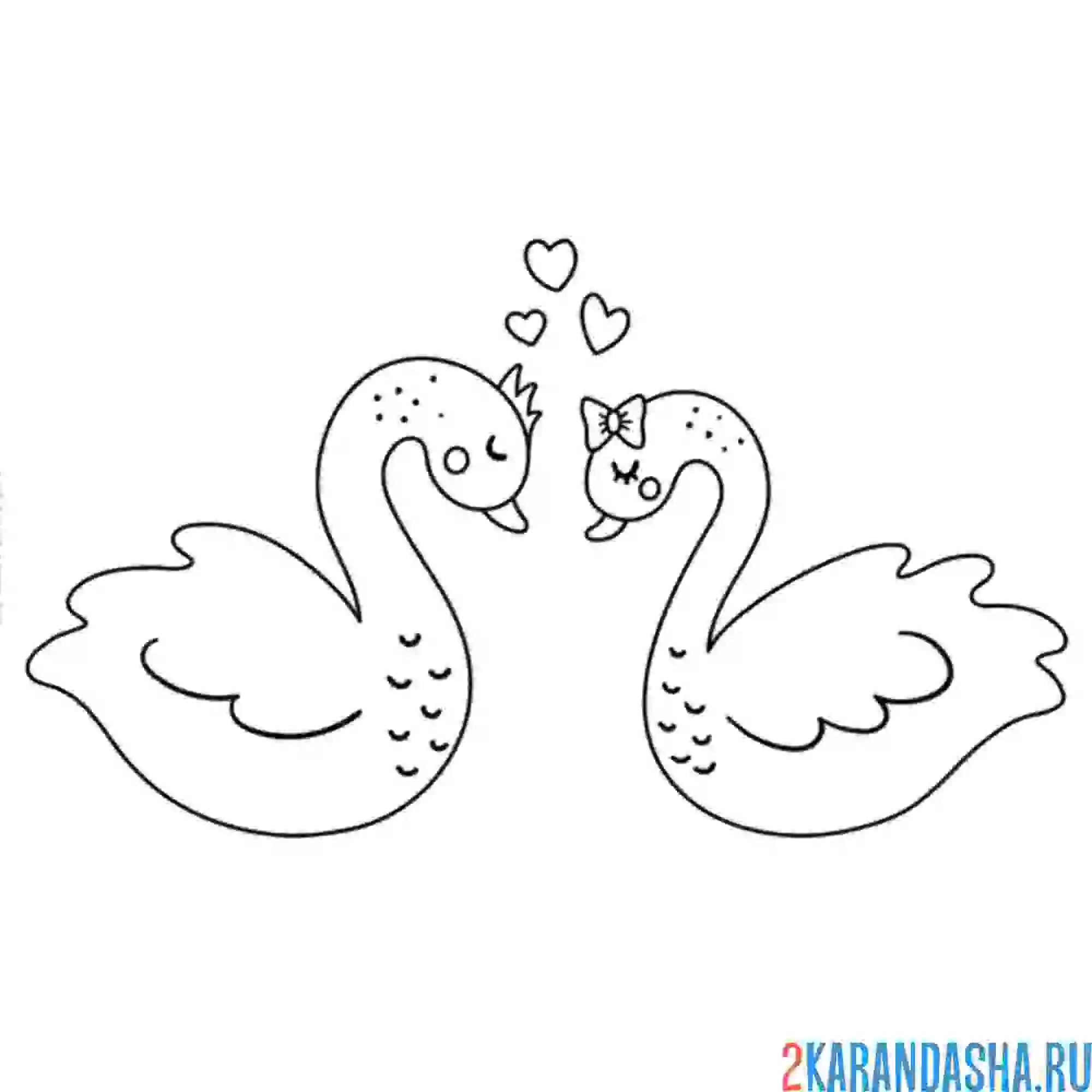Раскраска лебединая любовь