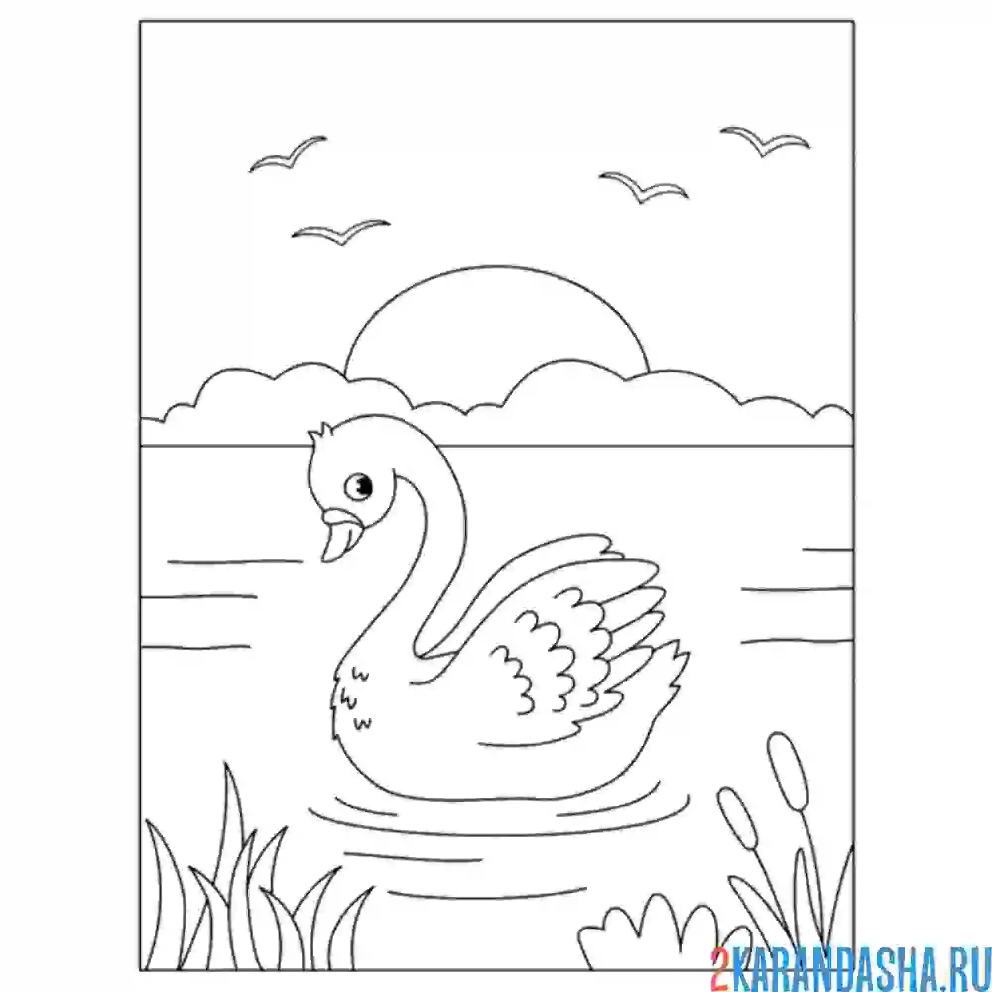 Раскраска лебедь на пруду на закате