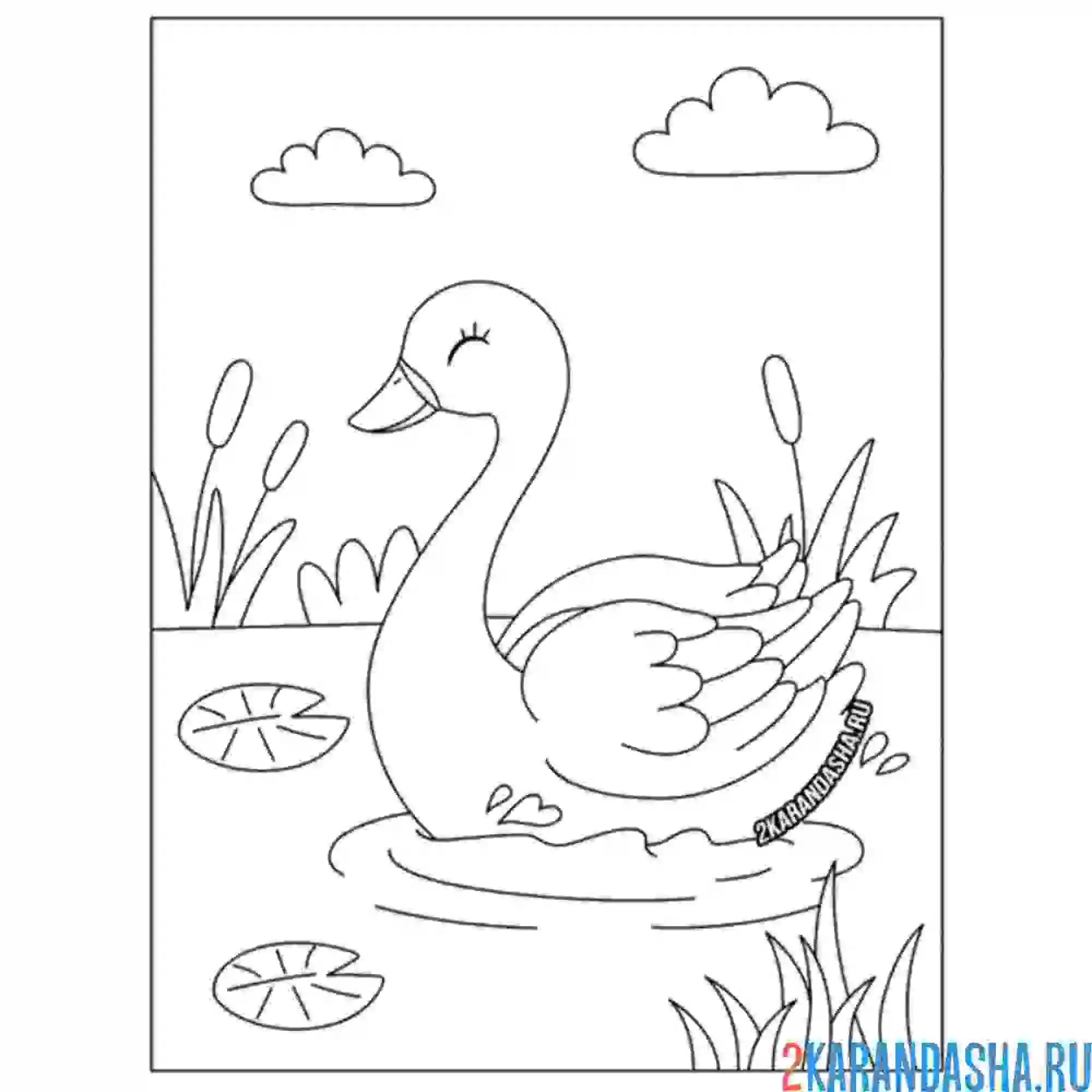 Раскраска лебедь в озере