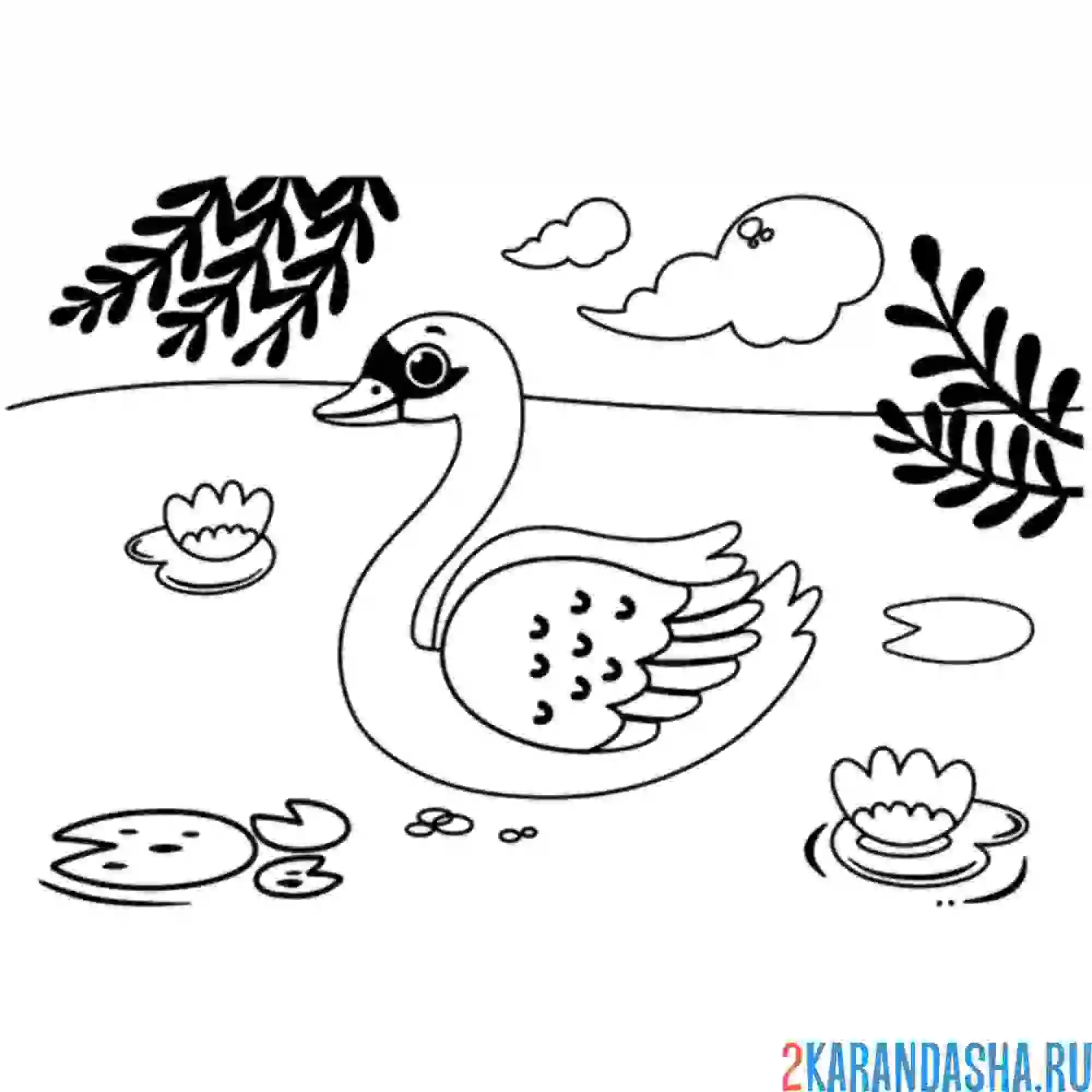 Раскраска лебедь и кувшинки