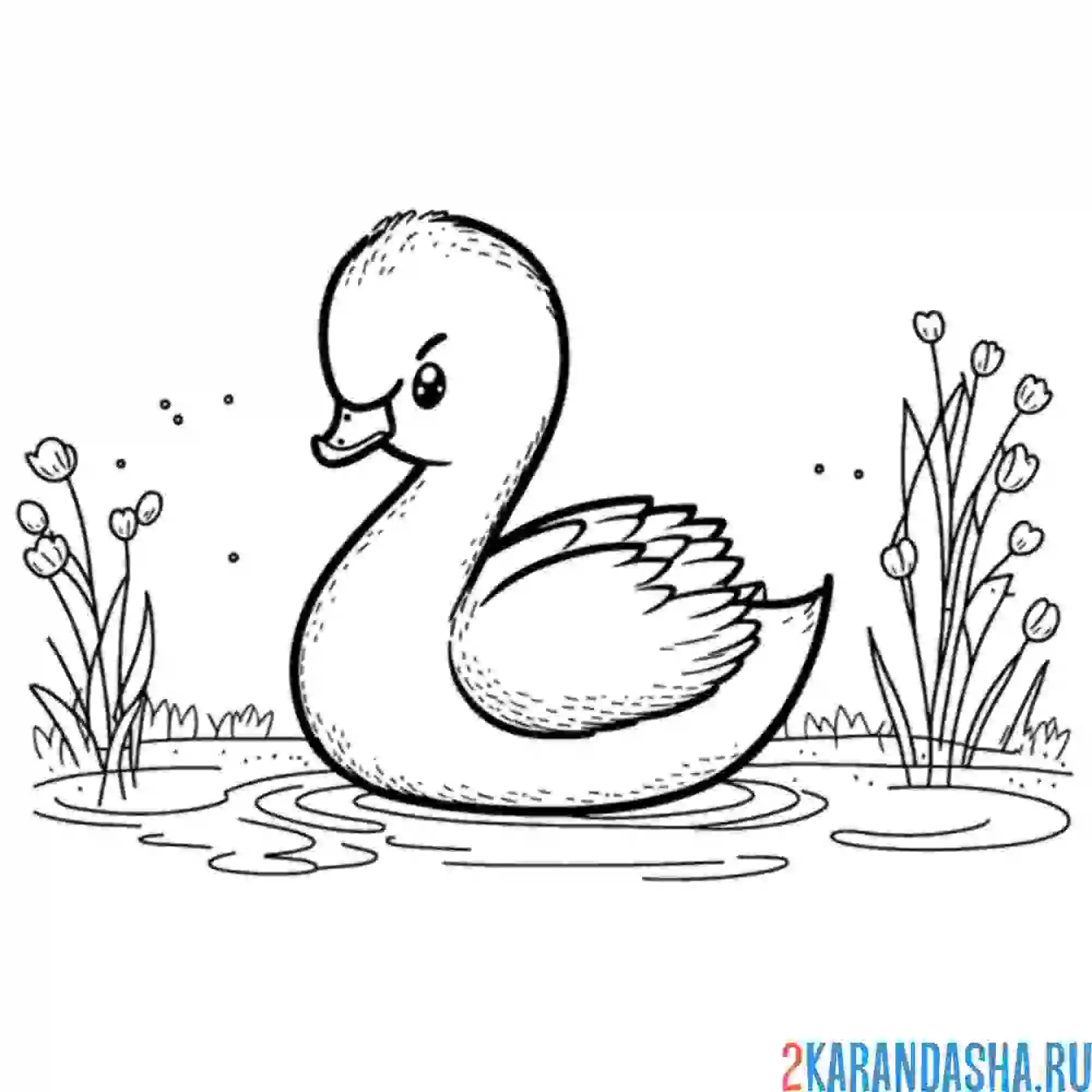 Раскраска маленький лебедь