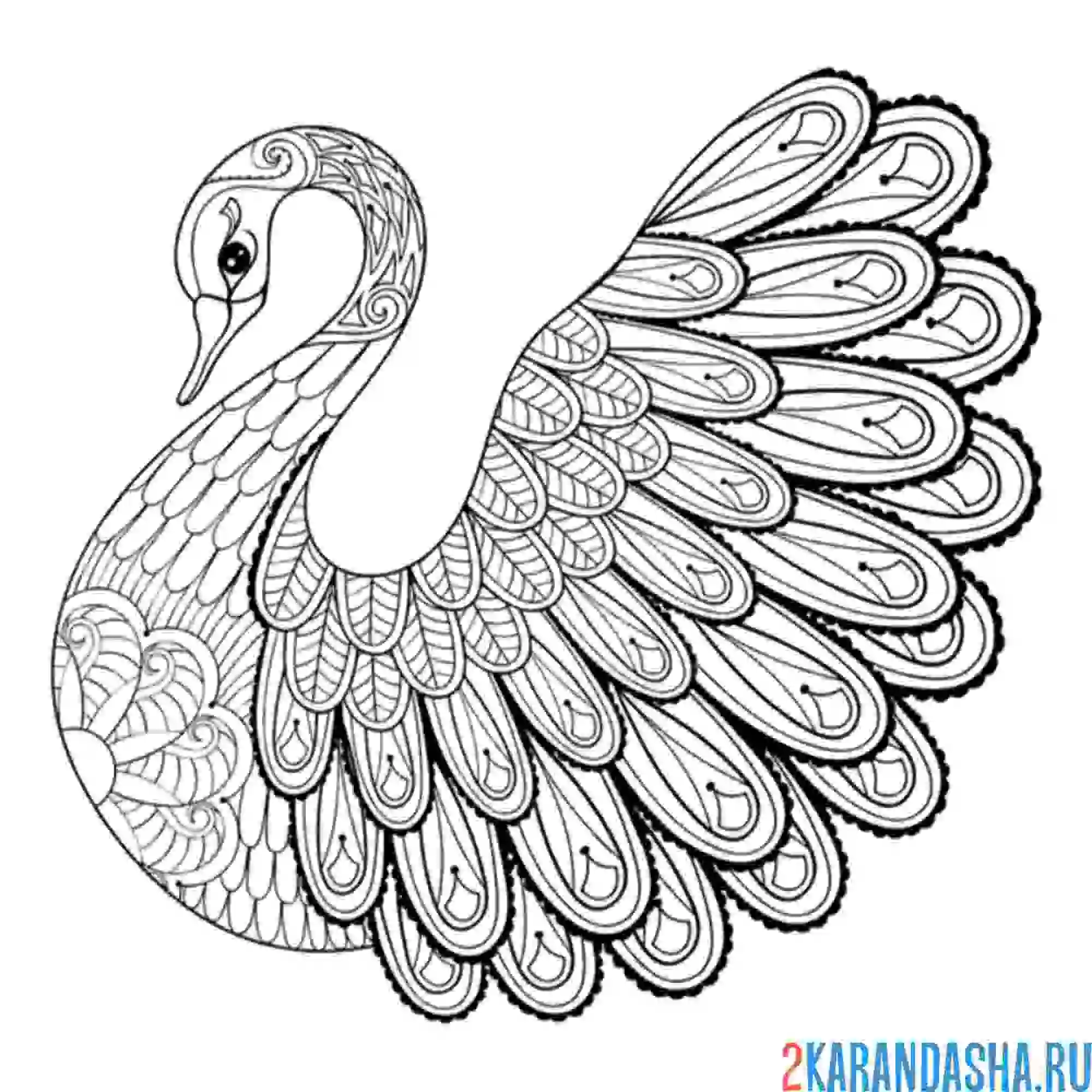 Раскраска лебедь арт