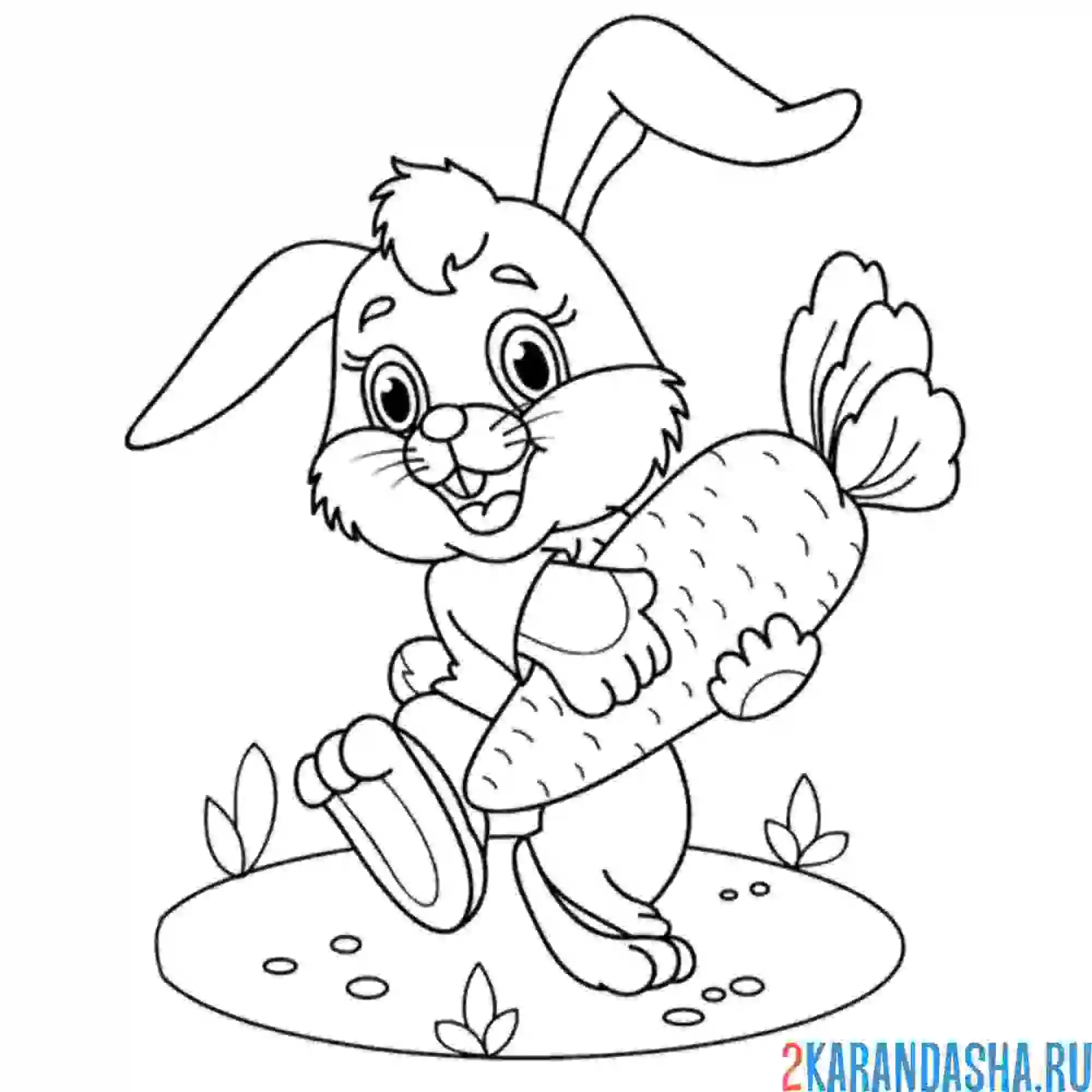 Раскраска заяц кролик с большой морковкой