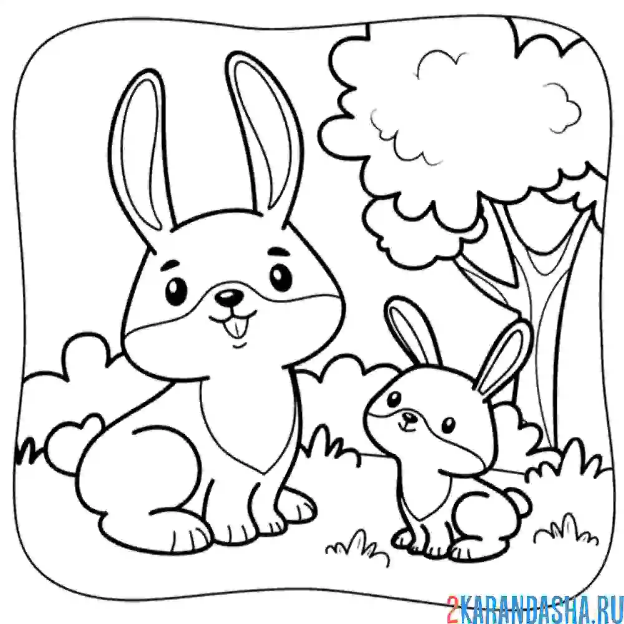 Раскраска семья заячья и кролики