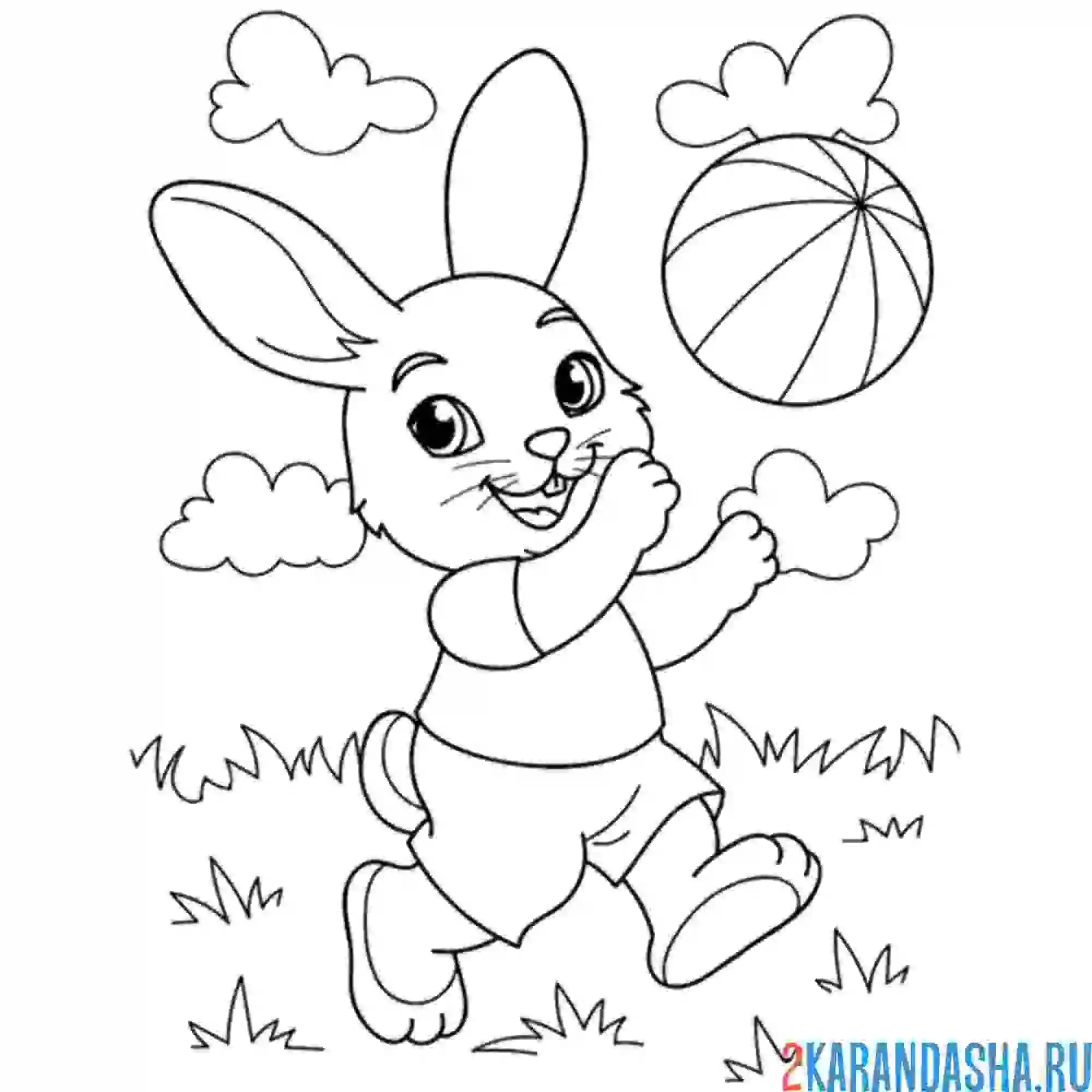 Раскраска зайчишка с мячом