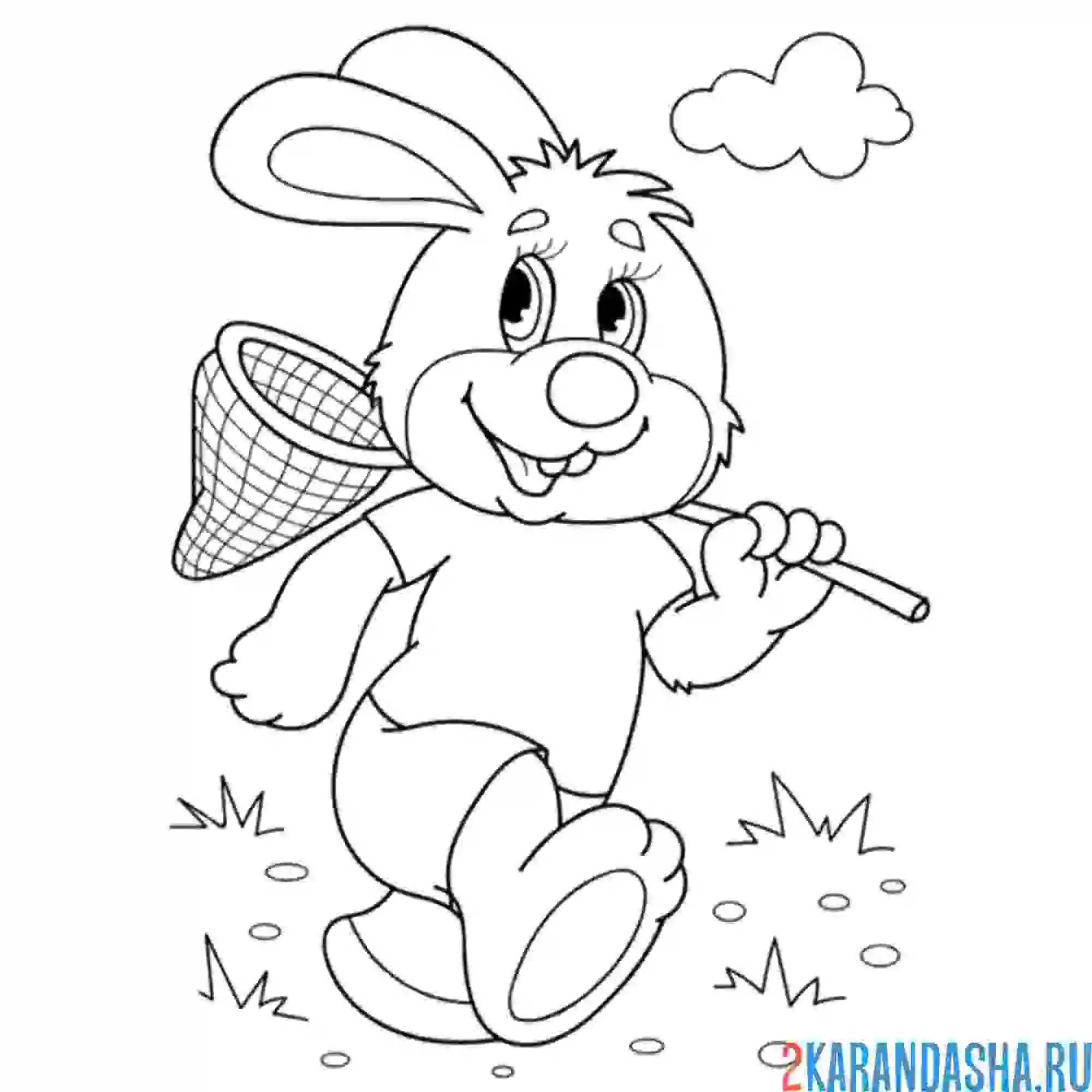 Раскраска сачок кролик