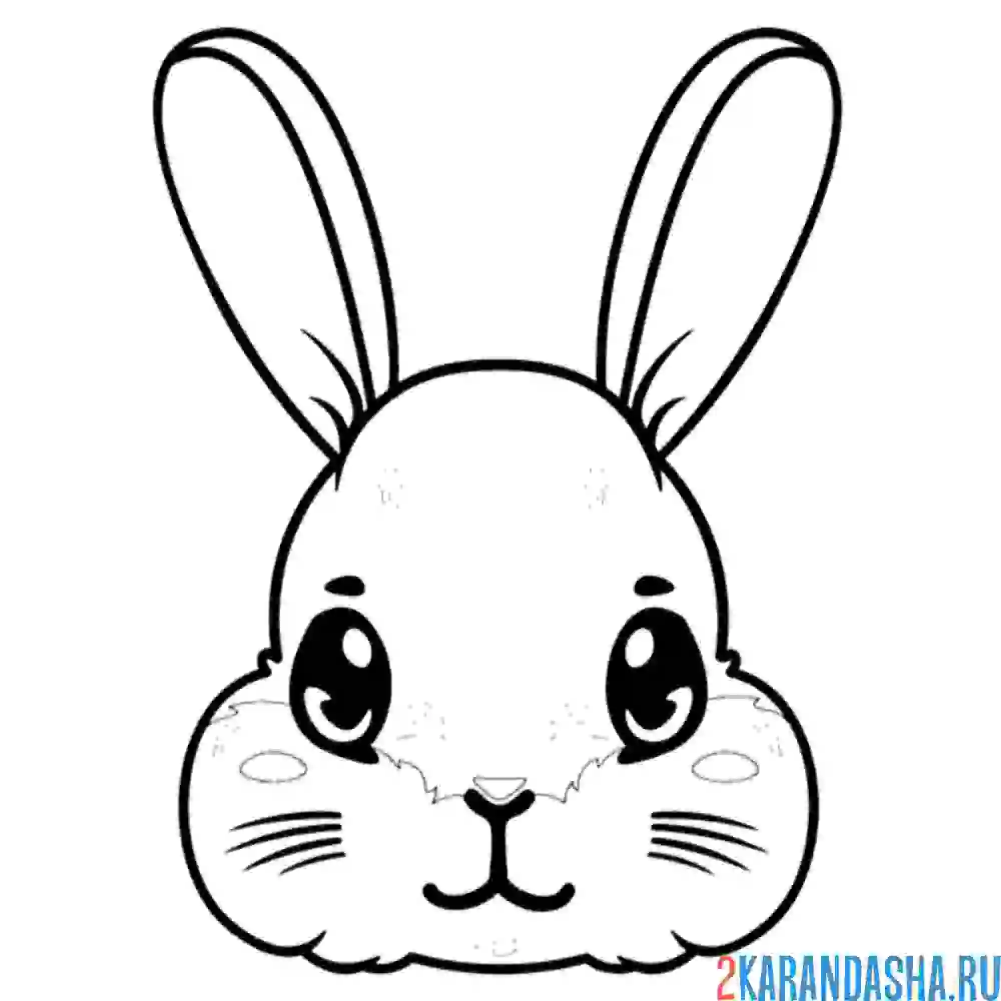 Раскраска голова зайца