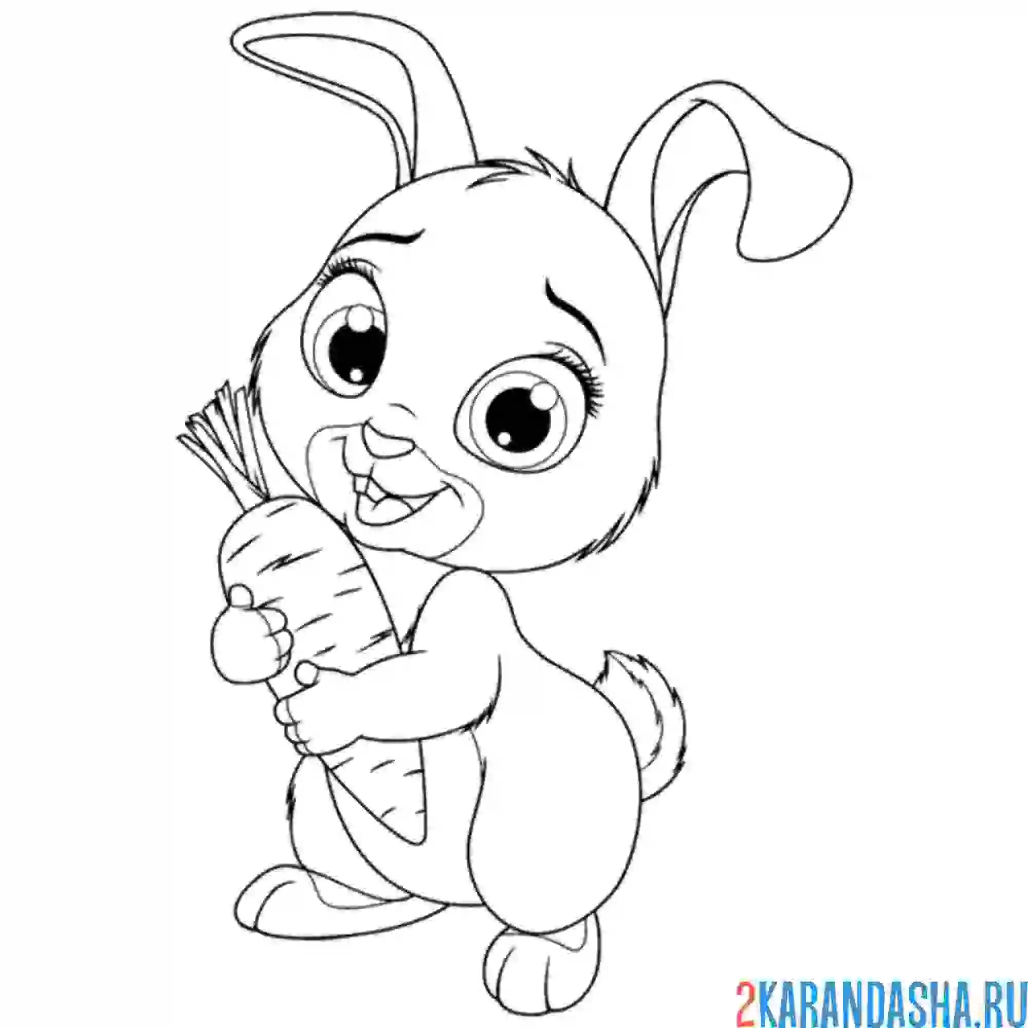 Раскраска милаш-заяц