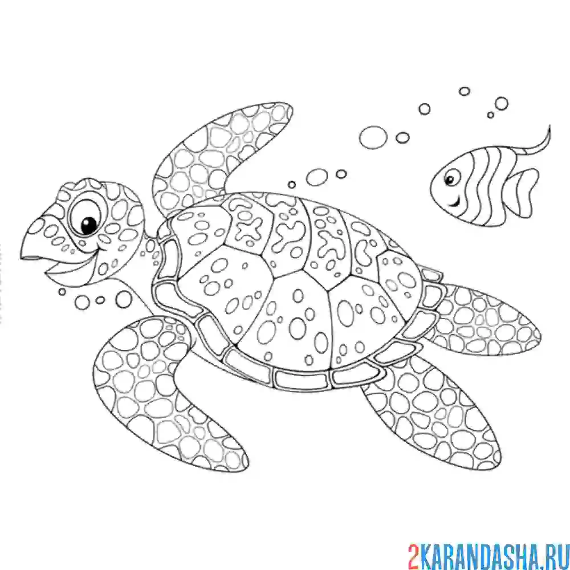 Раскраска морская черепаха и рыба