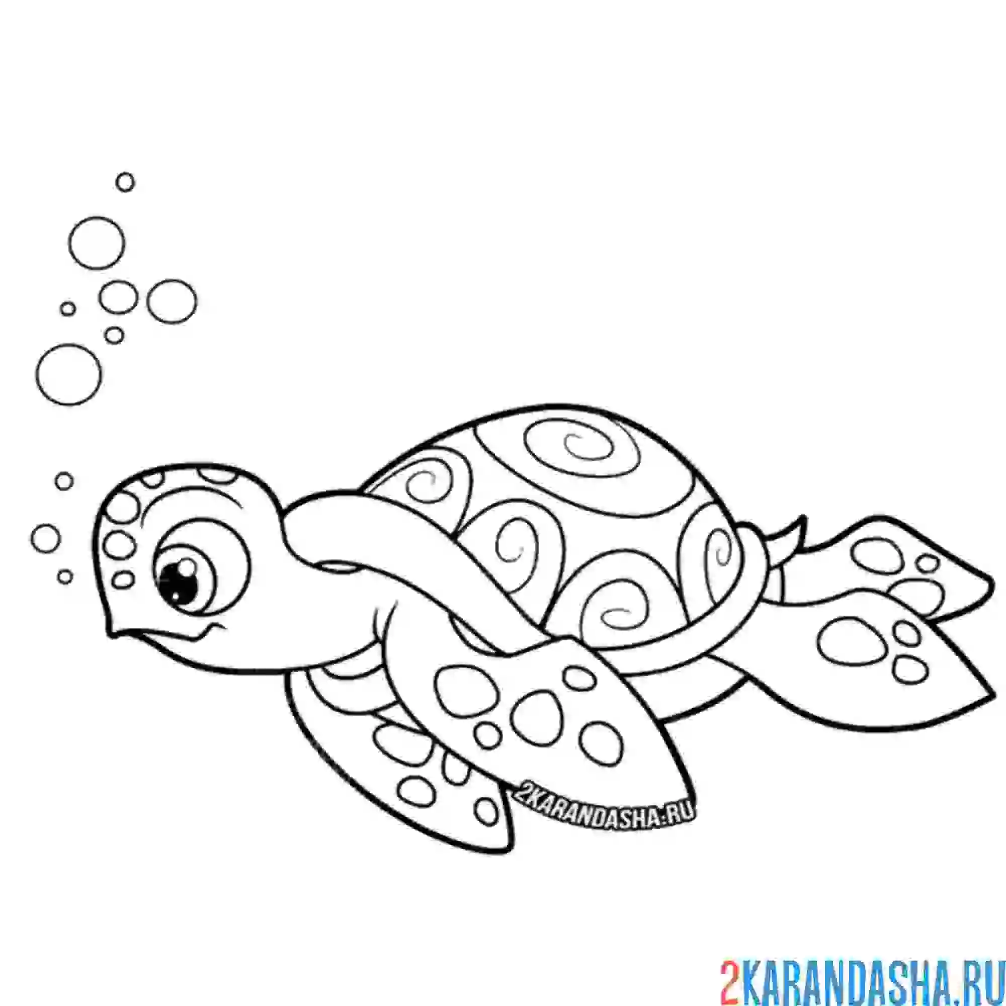 Раскраска плавчиха-черепаха