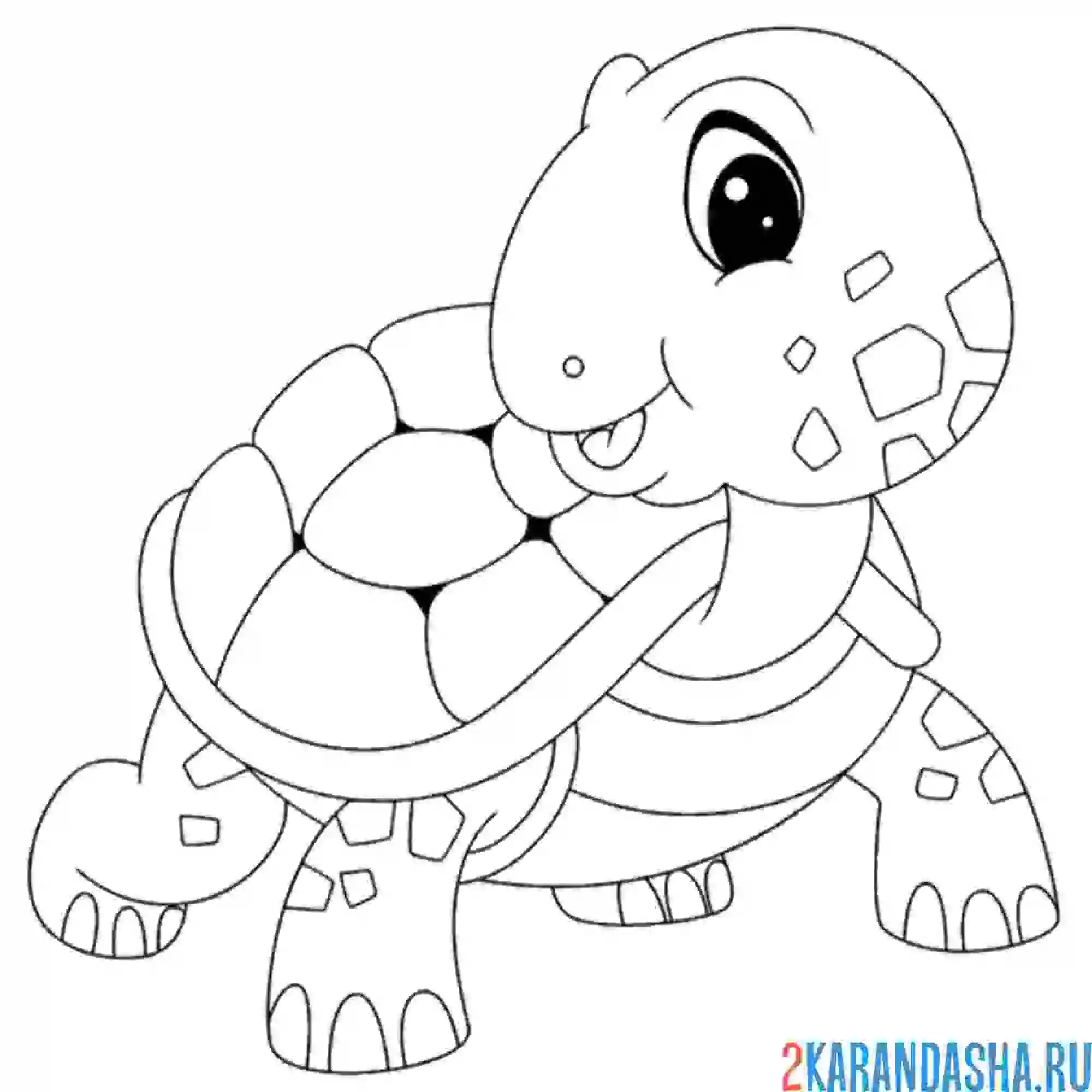 Раскраска милаш черепаха