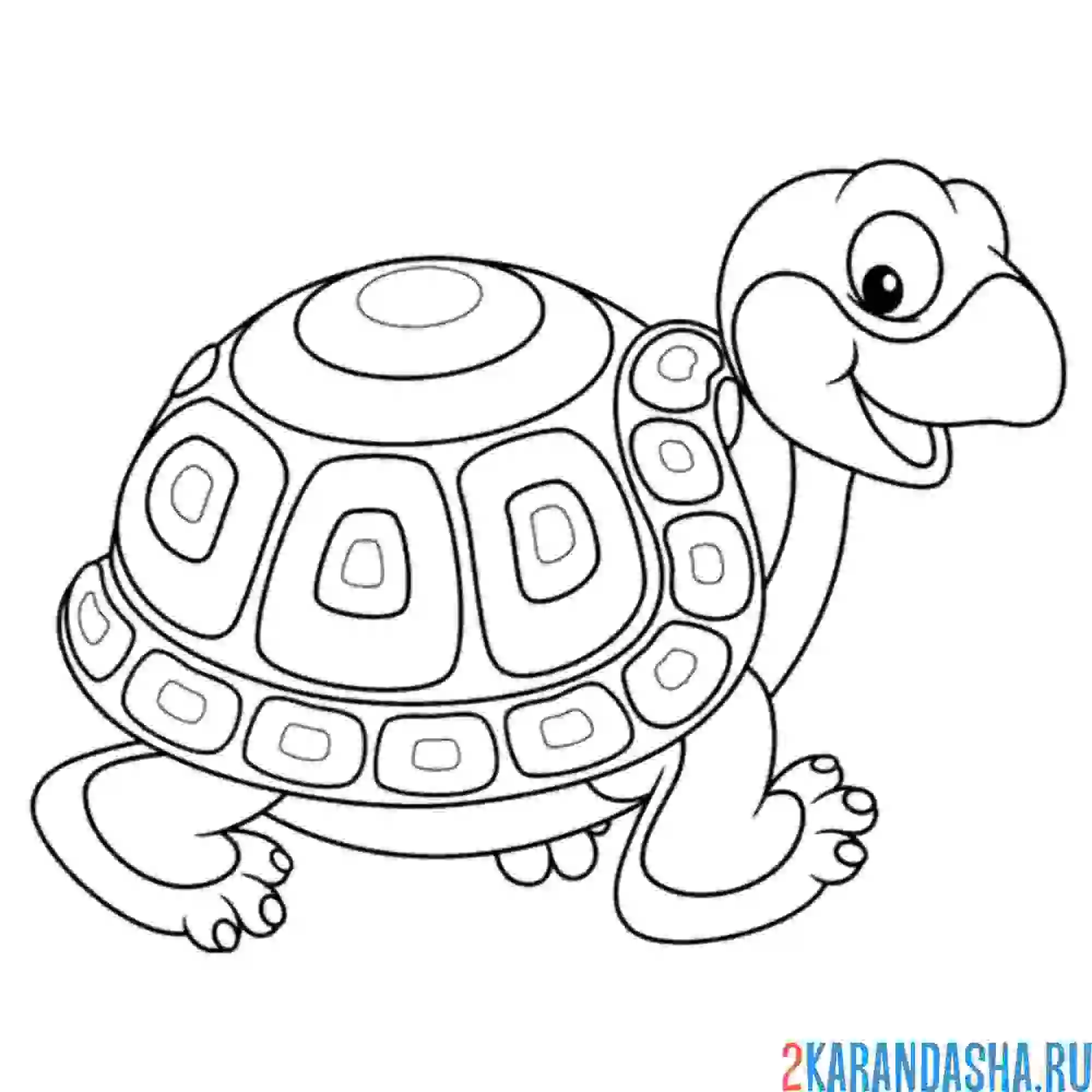 Раскраска черепашка с красивым домиком