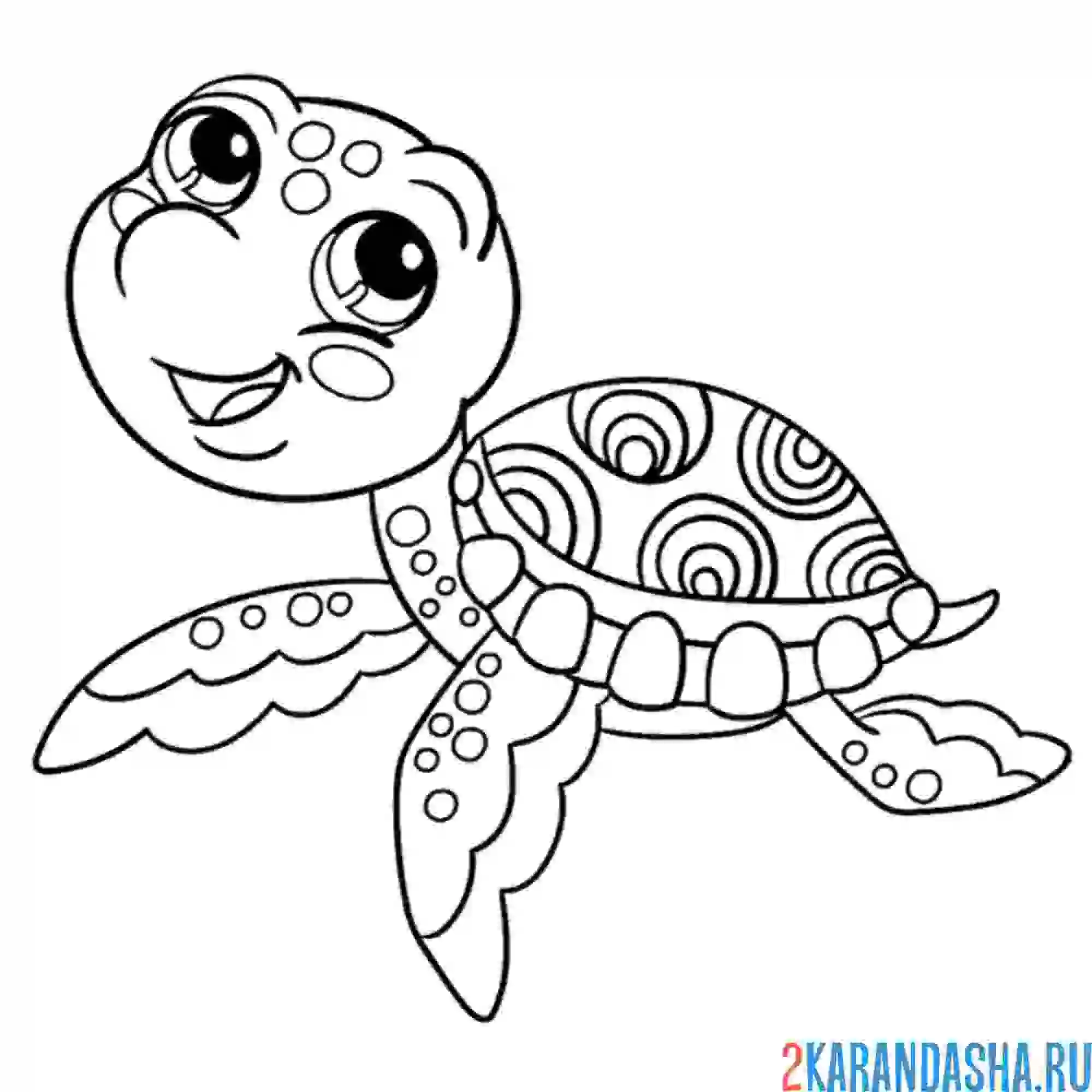 Раскраска смешная черепашка