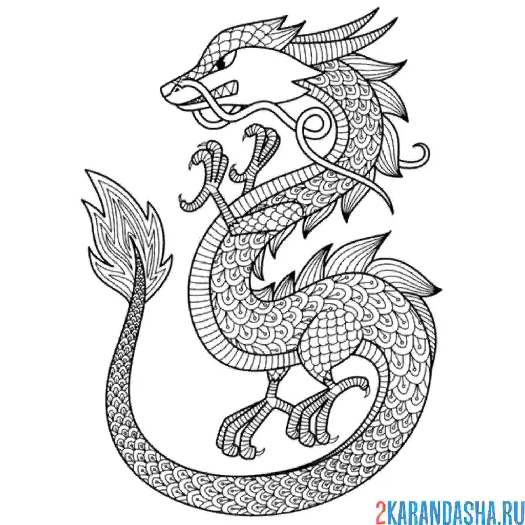 Раскраска мифический дракон арт