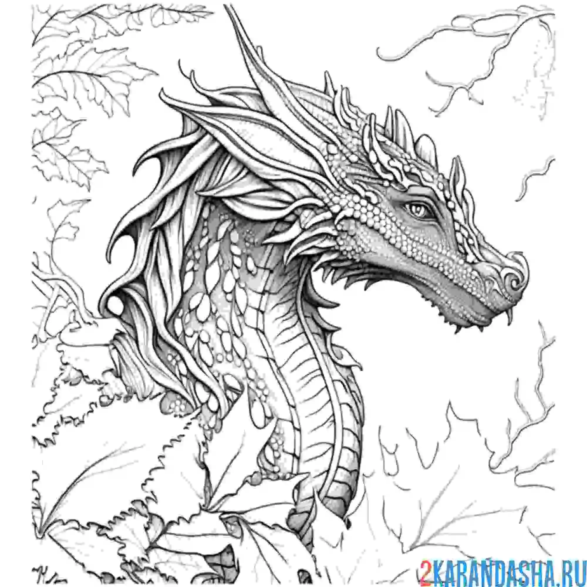 Раскраска дракон голова