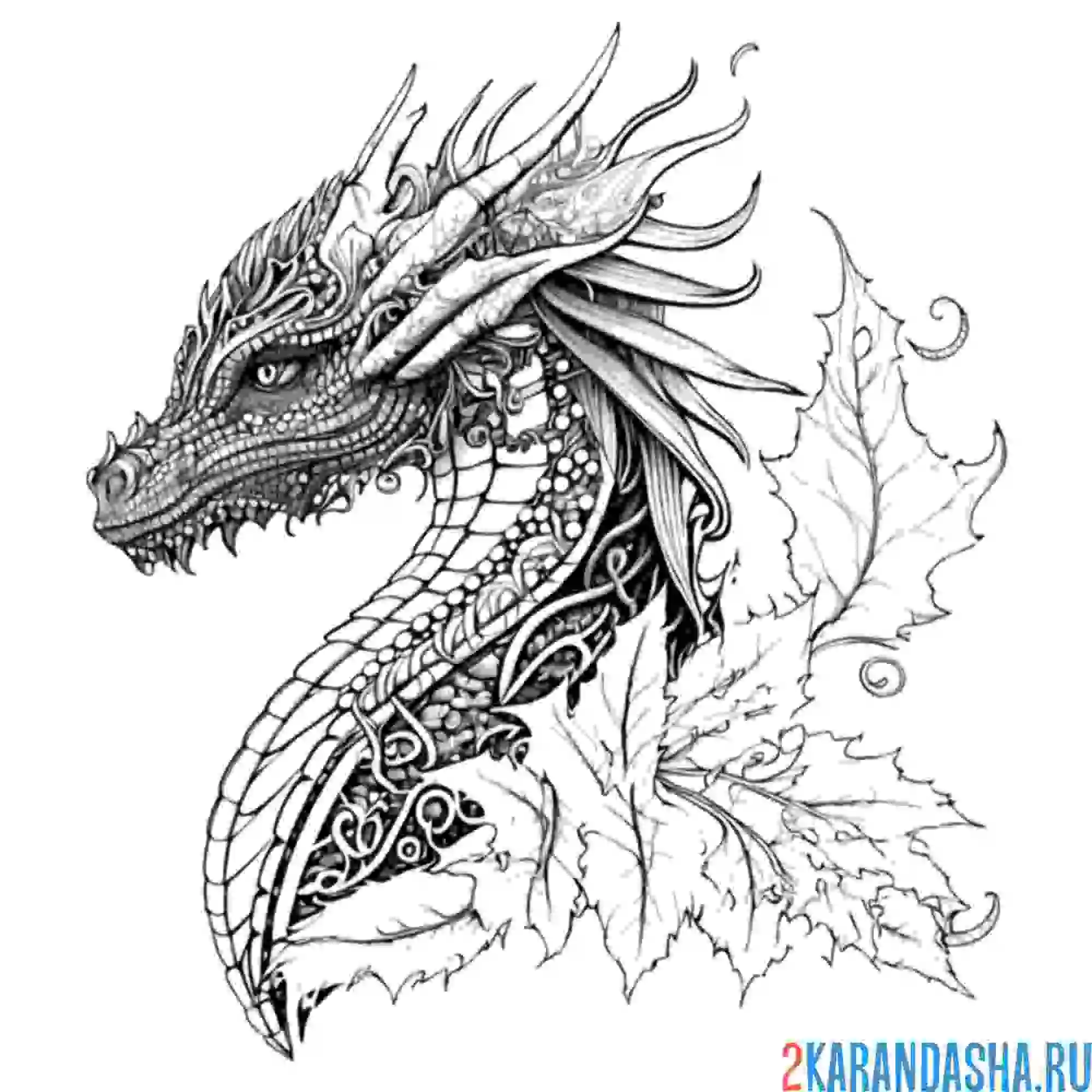 Раскраска голова дракона