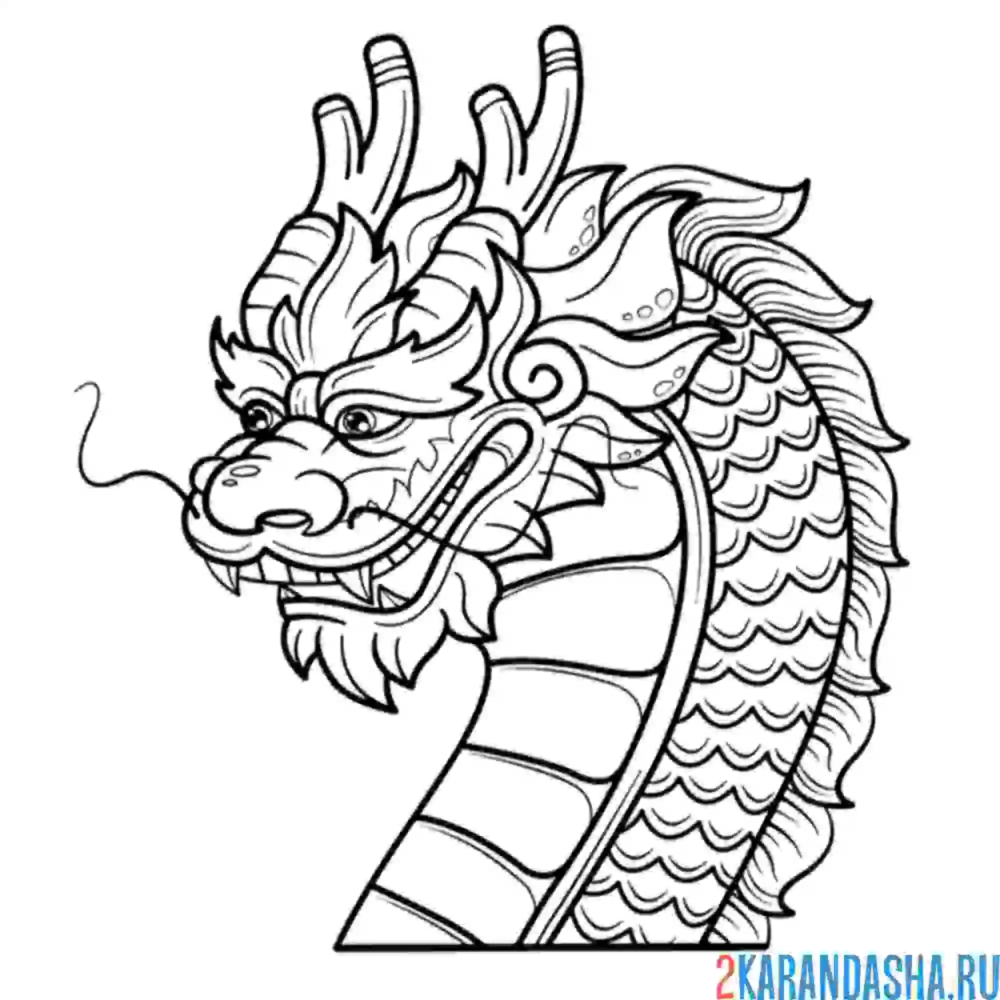 Раскраска дракон японский голова