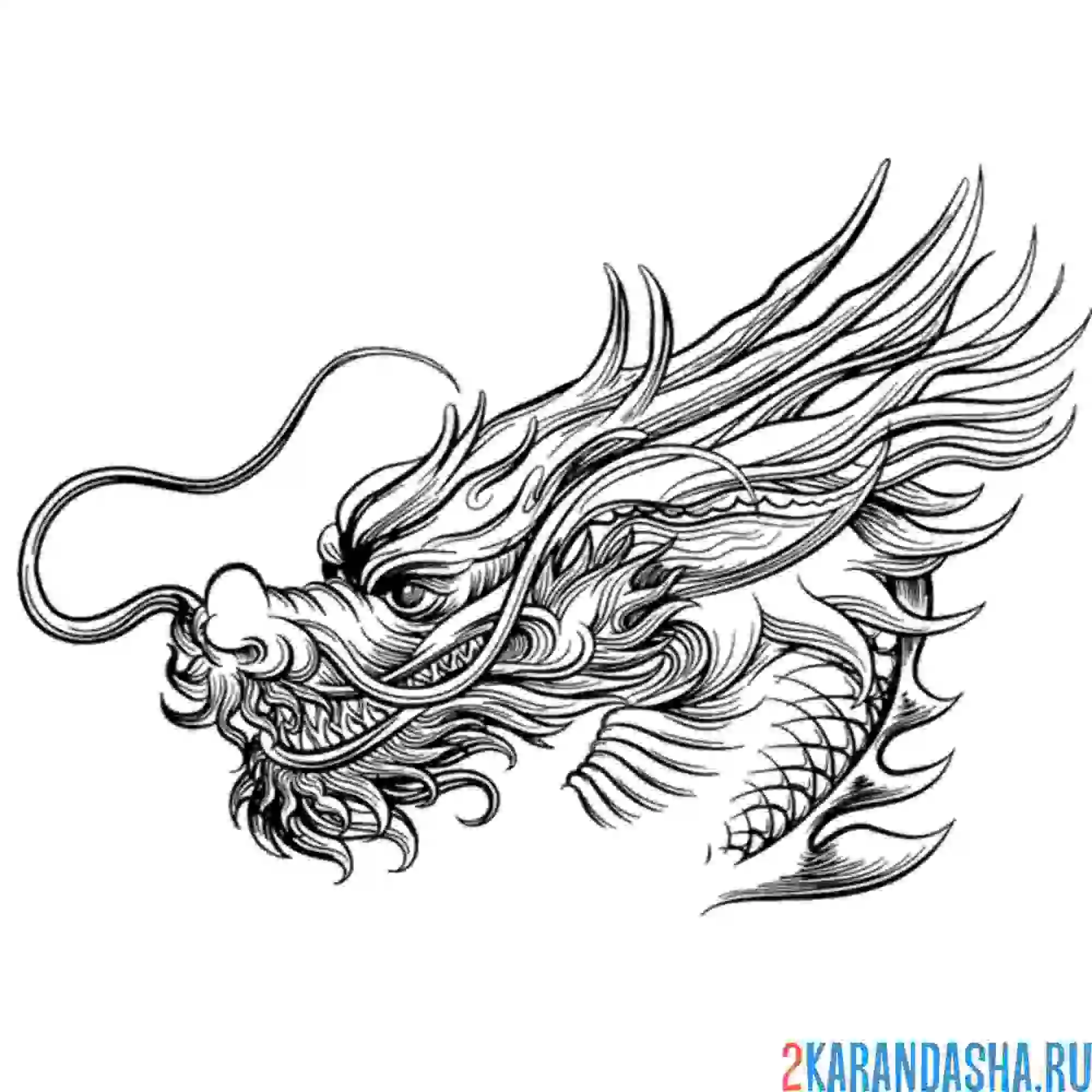Раскраска дракон японский мотив