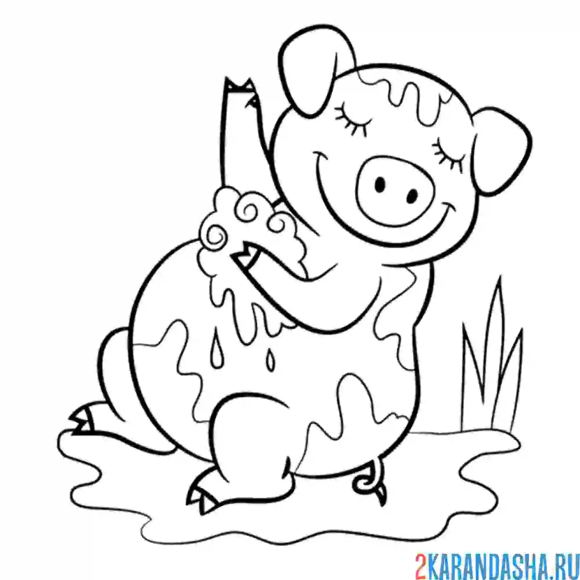 Раскраска свинка моется