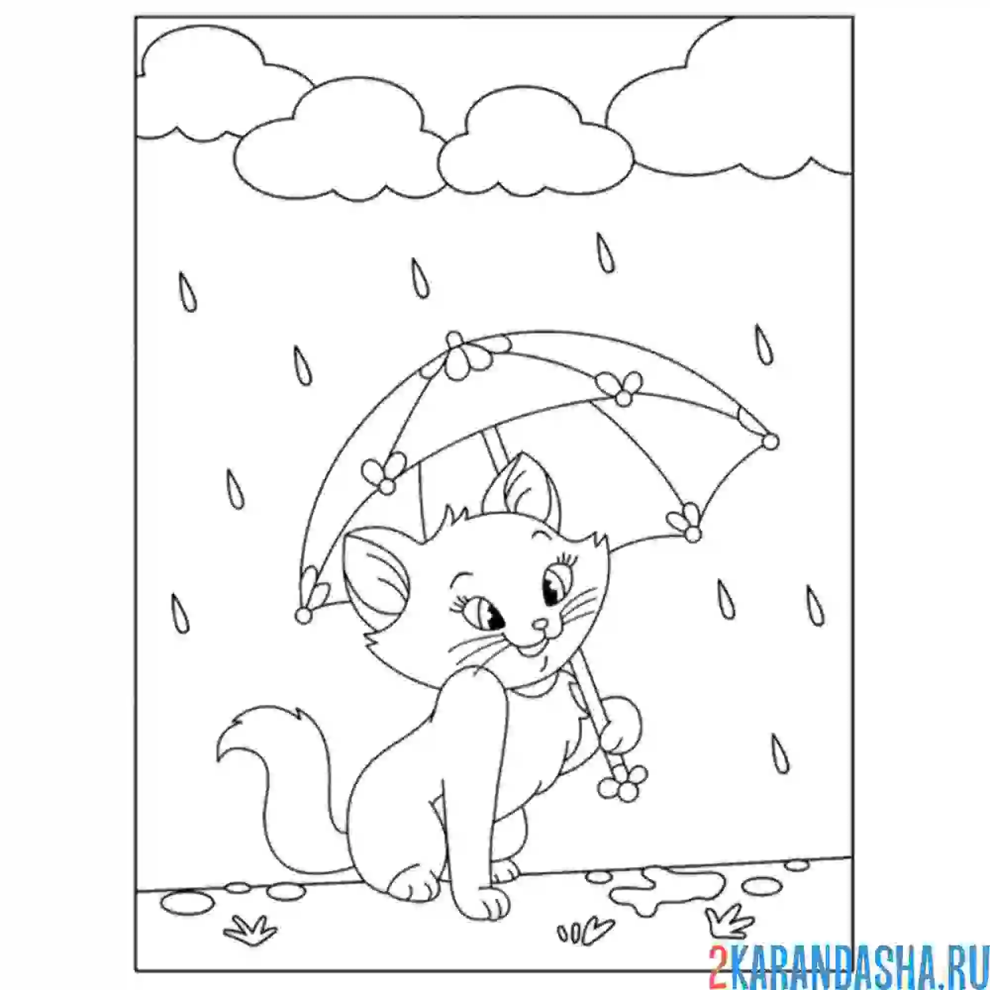 Раскраска кошка под дождем