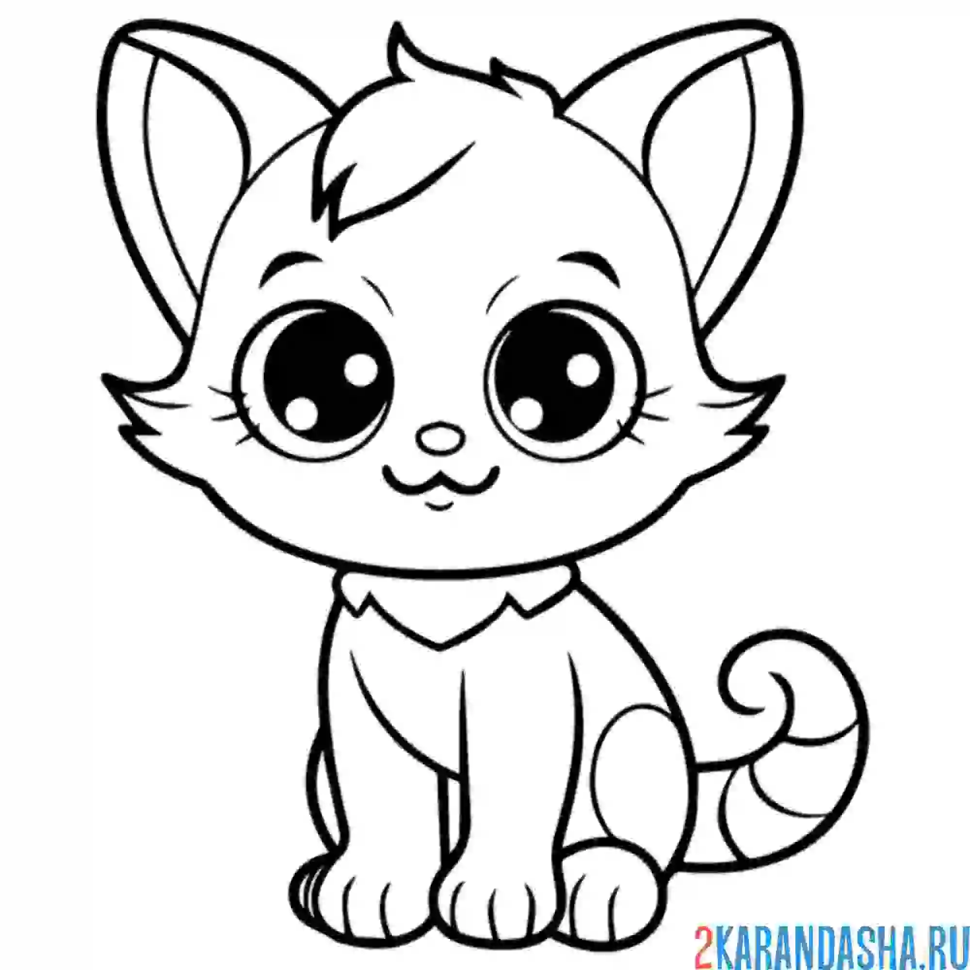 Раскраска маленький дружок котенок