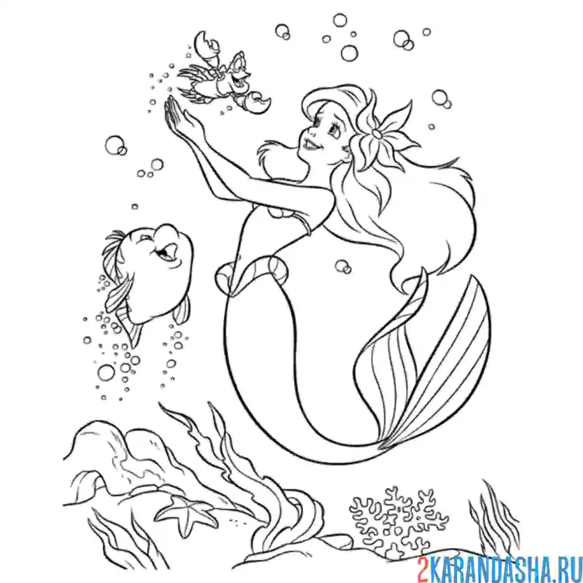 Раскраска ариэль со своими друзьями