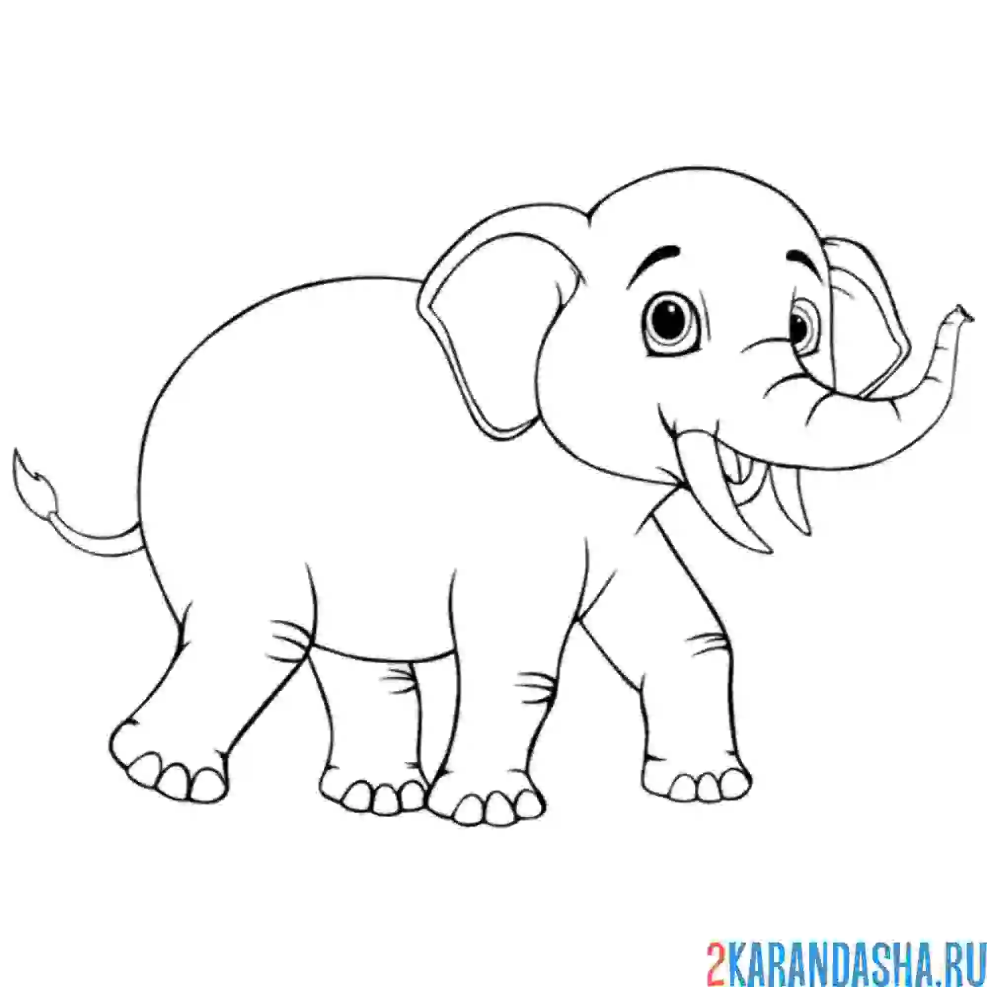 Раскраска настоящий слон бежит