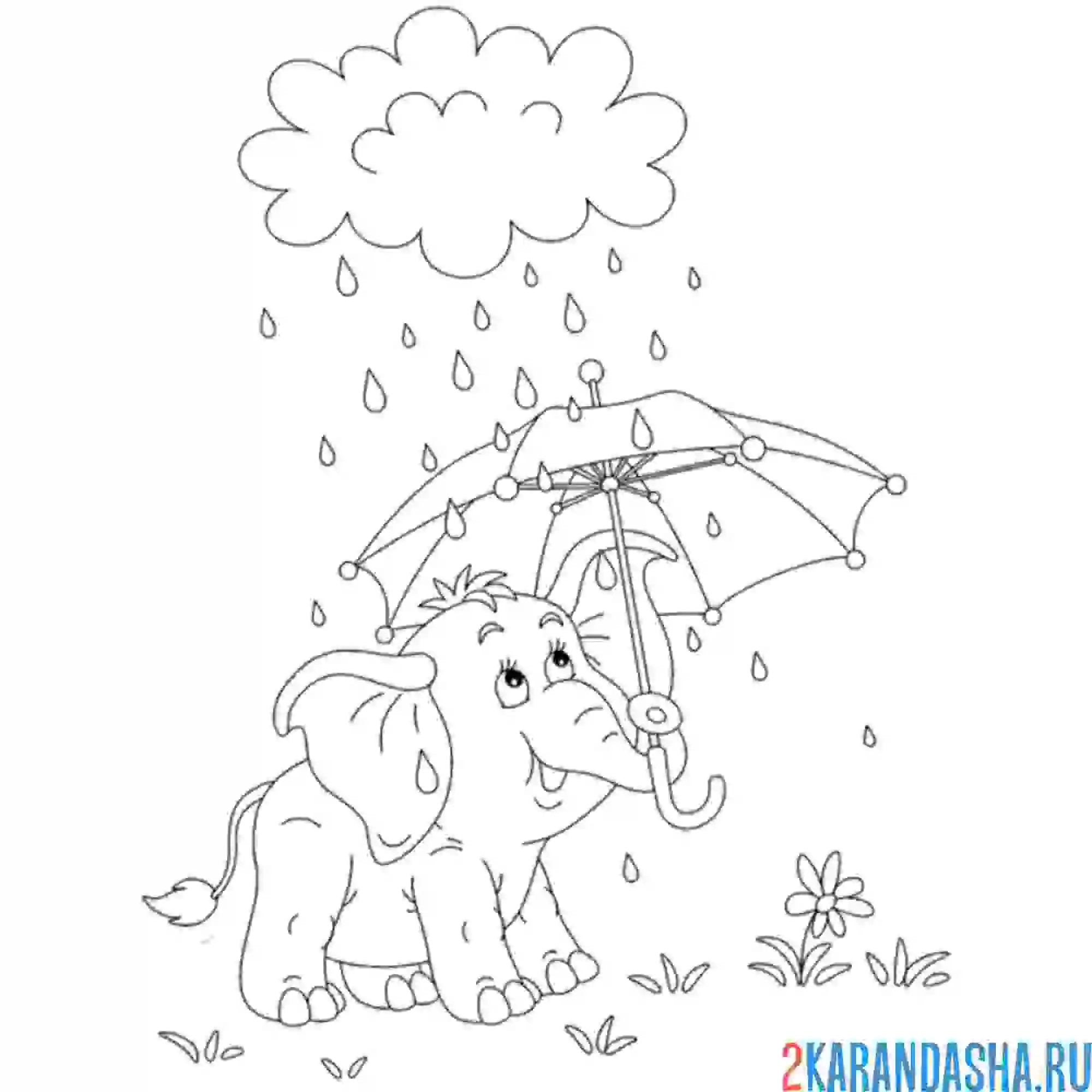 Раскраска слон под зонтом