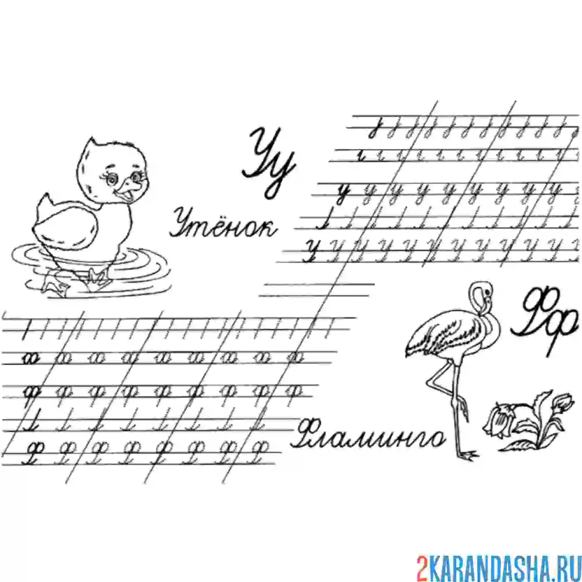 Раскраска пропись с раскраской буквы у ф