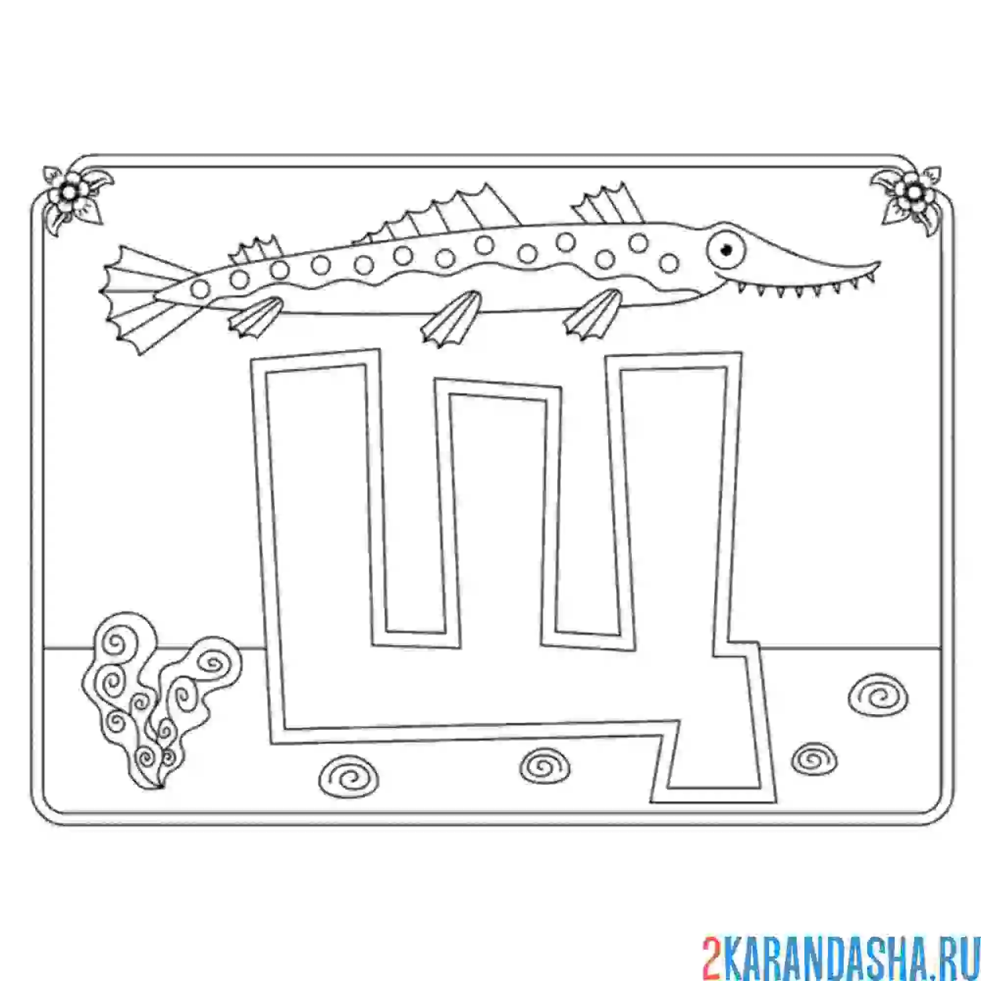 Раскраска буква щ с картинкой щуки