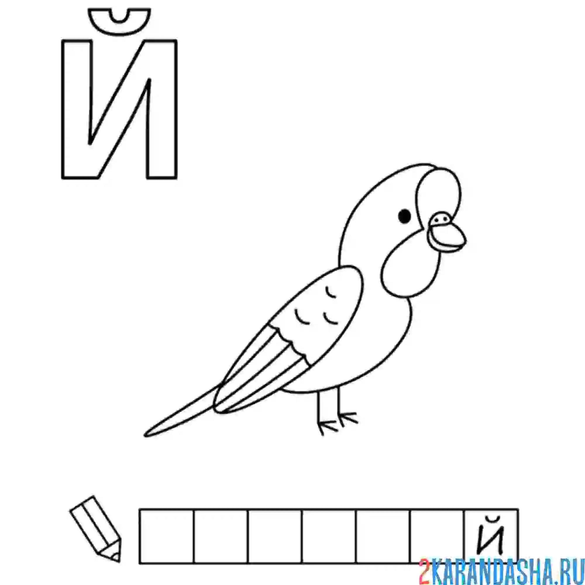 Раскраска алфавит буква й