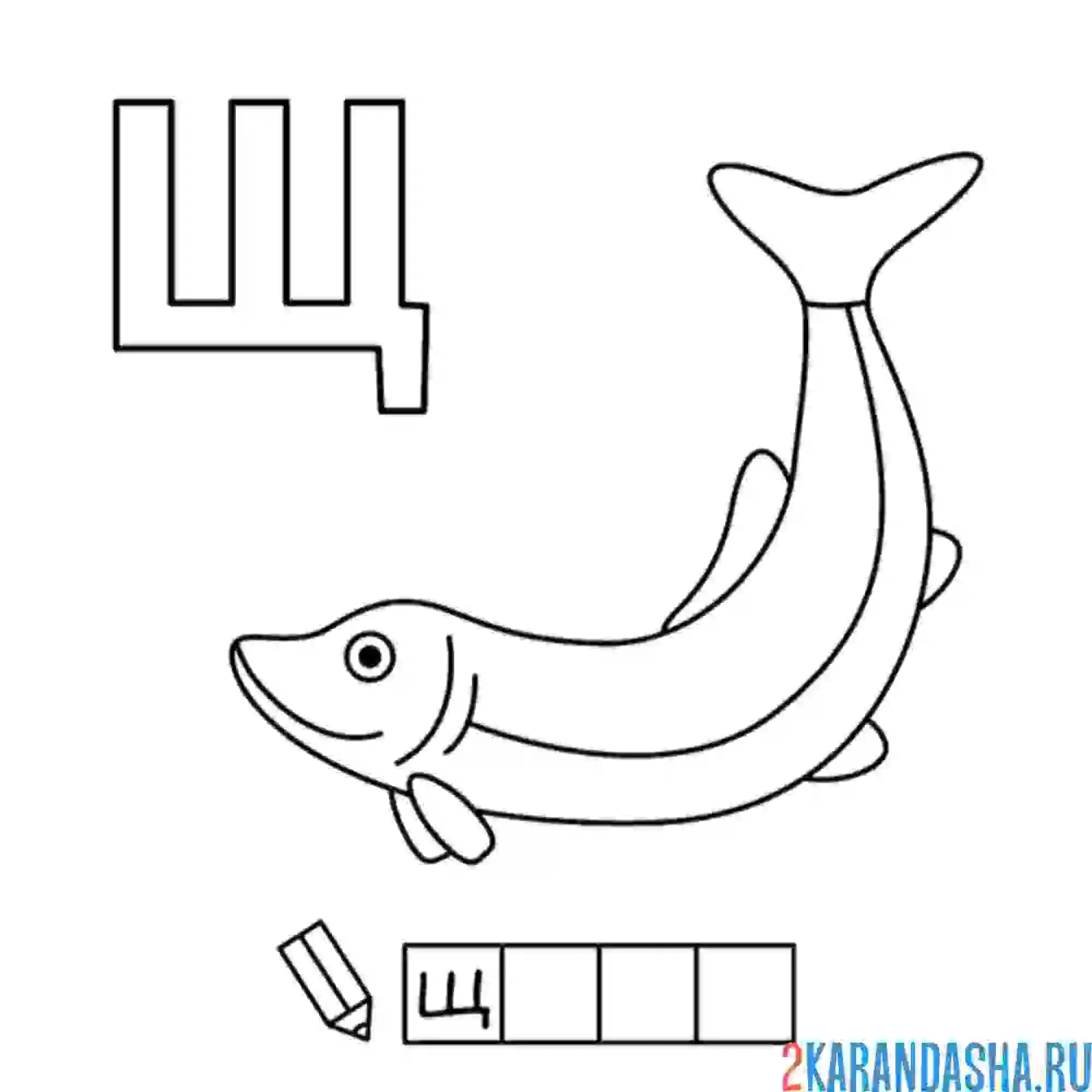 Раскраска алфавит буква щ